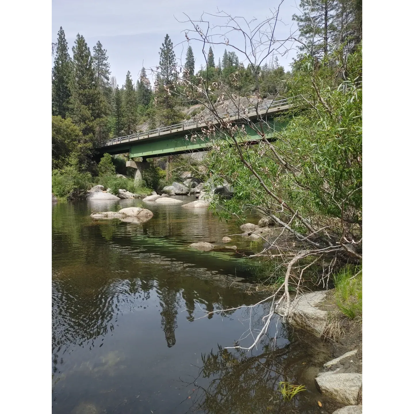 Ross Crossing Campground is an untouched gem for campers seeking an immersive outdoor experience. A true adventurer's paradise, the campground invites guests to enjoy not only the serenity of nature but also the thrill of an authentic camping expedition. With two distinct campsites set across a charming creek, the locale offers a unique sense of seclusion and connection with the wilderness.

Venturing to Ross Crossing Campground is indeed a journey into nature's embrace, where visitors are treated to awe-inspiring encounters, like the fascinating spectacle of granite rocks adorned with a delicate tapestry of ladybugs. These seemingly magical moments create memories that campers treasure for a lifetime, reinforcing the majesty of the natural environment that Ross Crossing Campground seeks to preserve.

Ideal for those who are prepared to fully embrace the rugged outdoors, the campground provides a rare opportunity to disconnect from the digital world, with the nearest cell service being a 45-minute journey away. This undisturbed setting allows for a complete digital detox, where one can truly unplug, unwind, and reconnect with nature and oneself.

Please keep in mind that with the absence of modern facilities such as bathrooms, and the deliberate maintenance of the campground's natural state, visitors are encouraged to engage in responsible camping practices. By ensuring that they pack in and pack out all their belongings and refuse, campers contribute to maintaining the pristine beauty of Ross Crossing Campground for all to enjoy for generations to come.

Seekers of authentic outdoor experiences and those with a heart for conservation will find Ross Crossing Campground a cherished retreat, where unity with nature and the joys of simple, manly camping are the cornerstones of an unforgettable adventure. Description by ChatGPT.