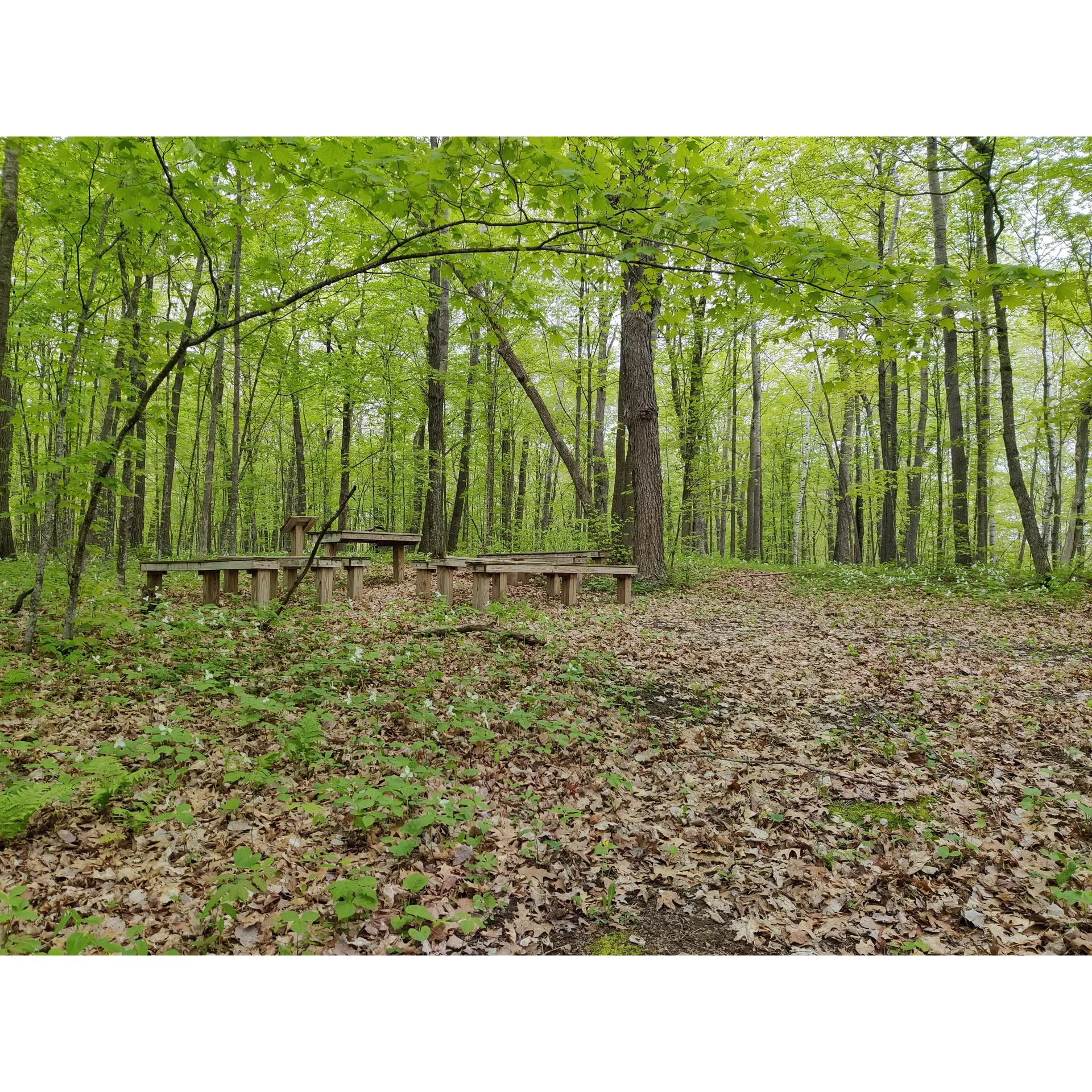 Located amidst the tranquility of nature’s backdrop, the College of Wilderness Knowledge-Birch Bend Camp is a haven for outdoor enthusiasts and budding adventurers. Known for providing an exceptional camping experience, this camp is a favored destination for scouting troops and youth groups looking to immerse themselves in the great outdoors.

The camp prides itself on its ability to offer a plethora of activities designed to foster personal growth and practical learning. Scouts and youth visitors find themselves returning time and again, drawn by the camp's engaging merit badge classes taught by instructors renowned for their expertise and passion for nature education. This dedication to high-quality wilderness education ensures that each visit is as enriching as it is enjoyable.

A highlight for many is the refreshing swimming experiences that await in the pristine waters, allowing for fun and relaxation after a day of learning and exploration. The beauty of the environment also adds to the allure of Birch Bend Camp, providing a picture-perfect setting for the adventure and camaraderie that define the classic scouting experience.

At the heart of this outdoor retreat are the great people who facilitate fantastic outdoor learning opportunities. They bring the spirit of the wilderness to life with their genuine dedication to imparting valuable knowledge and skills to youth. With such a supportive and educational environment, it's no surprise that the College of Wilderness Knowledge-Birch Bend Camp has become a repeat destination for those seeking both adventure and education under the canopy of the great outdoors. Description by ChatGPT.