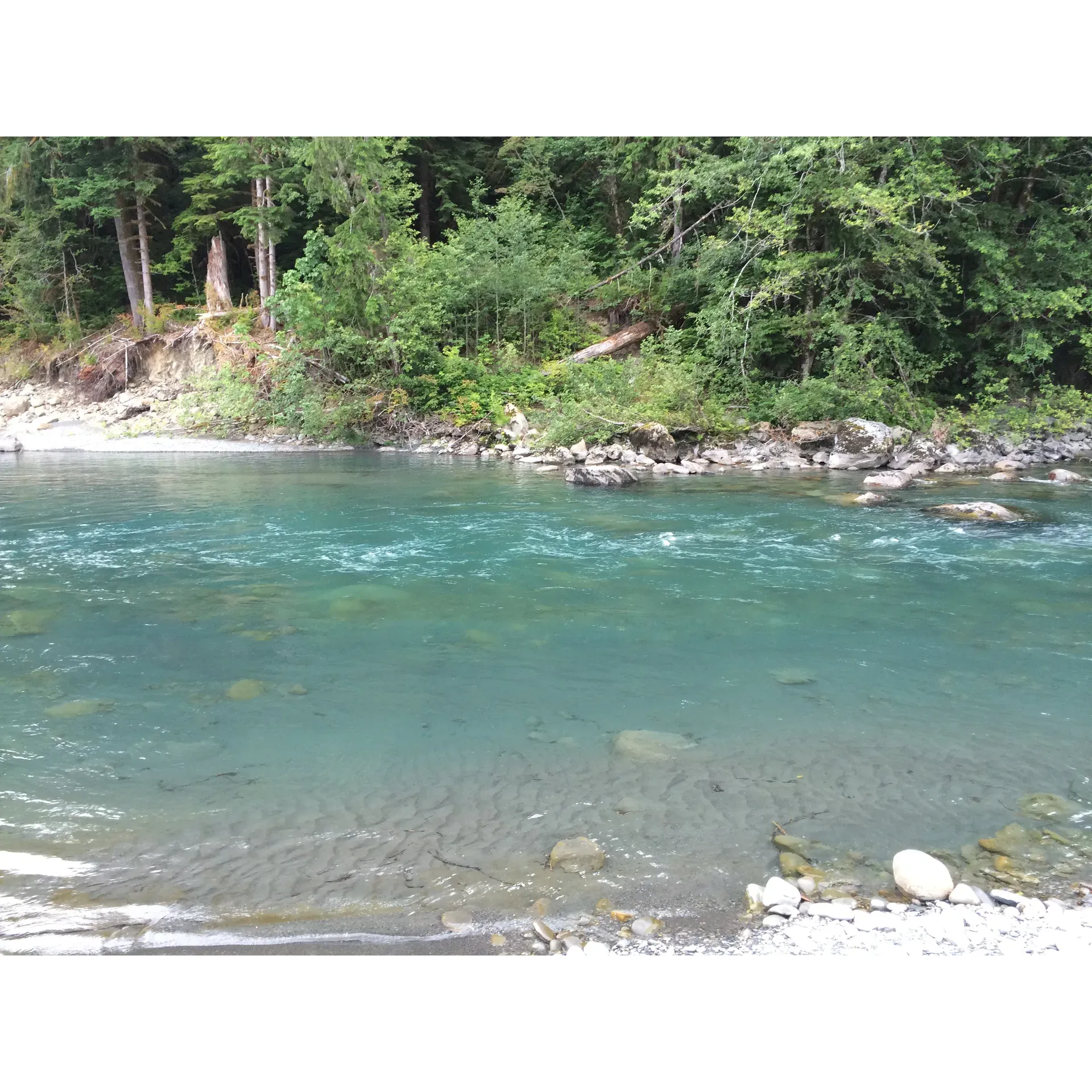 Bob Creek is a popular fishing spot located in Forks, Washington. It is known for its abundance of steelhead, salmon, and trout, making it a favorite destination for anglers of all skill levels. The creek runs through dense forests and scenic landscapes, providing a tranquil setting for fishing enthusiasts.

Located in the Olympic Peninsula, Bob Creek offers easy access for visitors looking to explore the natural beauty of the area. The creek's clear waters and rocky bed make it an ideal location for catch-and-release fishing, allowing anglers to enjoy the sport while preserving the local wildlife. Whether you're a beginner or an experienced angler, Bob Creek offers a unique fishing experience in the heart of the Pacific Northwest. Description by ChatGPT.