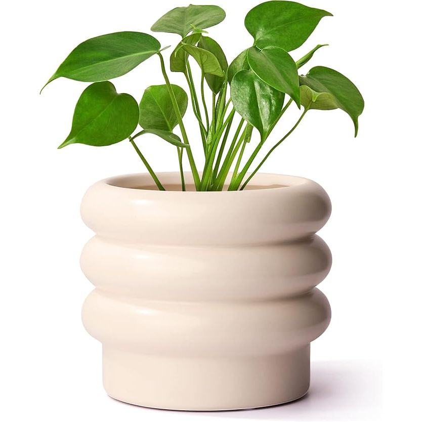 The Tiered Bubble Ceramic Plant Pot is a stylish and modern 6-inch ceramic planter, designed in a creamy white color that suits any indoor or outdoor décor. This ceramic flower pot features drainage holes to prevent overwatering and comes with a mesh pad to keep soil in place.