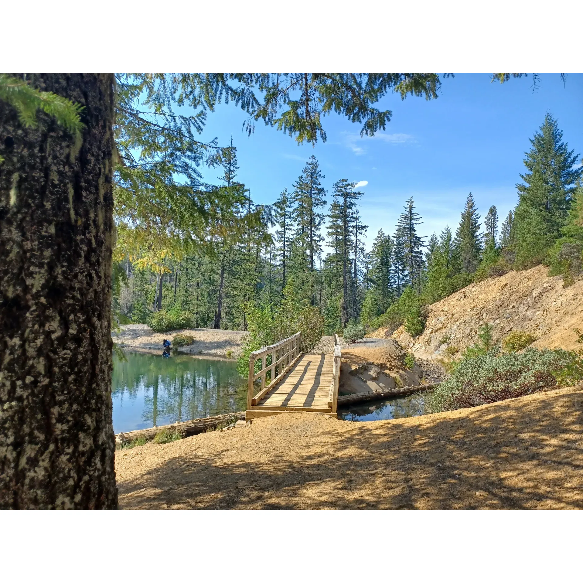 Spalding Pond Campground is a serene oasis for anglers, nature lovers, and anyone looking to escape into the tranquility of the great outdoors. Boasting an abundant aquatic life, the campground is recognized as a prime spot for those eager to fill their days fishing for catfish, trout, and crawdads in a picturesque setting. The clear waters of the pond are not only refreshing but are also home to an impressive population of rainbow trout, which are known for their active presence, much to the delight of fishing enthusiasts.

The campground’s remote charm adds to its allure, providing a sense of seclusion and intimacy with nature that can be hard to find. Despite the remote feel, the campground remains remarkably accessible, with easy navigation leading to this hidden gem—just make sure to have your directions handy for a smooth arrival. Once there, visitors can indulge in the peaceful ambiance that envelops the area, making for an ideal retreat from the hustle and bustle of daily life.

In addition to the area's natural beauty and recreational activities, the campground is appreciated for its cooler temperatures, a welcome reprieve during hotter months. The refreshing cool waters provide a tranquil environment for both relaxation and enjoyment, ensuring that visitors leave feeling rejuvenated.

While popular times such as weekends might see a bustling atmosphere at Spalding Pond Campground, the staff respond efficiently with temporary measures to enhance visitor comfort, ensuring facilities like bathrooms are adequately maintained. The fish are known to be particularly active, promising an exciting and rewarding experience for those casting their lines.

Spalding Pond Campground offers a peaceful escape that is surprisingly close to home for many, making it a perfect spot for a weekend getaway or a spontaneous fishing trip. With its combination of beautiful surroundings, thriving wildlife, and visitor-friendly amenities, it's a destination that beckons for a memorable outdoor adventure. Description by ChatGPT.