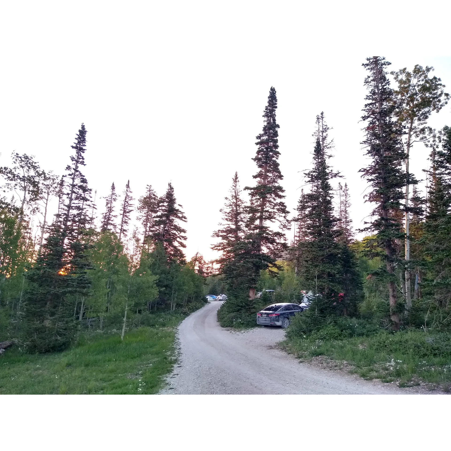 Willow Lake Campground emerges as an idyllic retreat for outdoor enthusiasts looking for a serene escape into nature. This beautiful expanse offers a haven of tranquility, where blissful quietude is a cherished attribute, allowing campers to unwind in the calmness of the great outdoors. Campers are encouraged to take the scenic Ferron, Utah route, ensuring a smooth arrival by car to this secluded paradise.

Preparation is part of the adventure at Willow Lake Campground, where the experience includes a delightful drive off the beaten path. Visitors are reminded to bring their own water to ensure a comfortable and self-sufficient stay amidst the enchanting wilderness.

The campground distinguishes itself by embracing a harmonious relationship with the environment, educating its guests on the importance of fire safety. The exclusive use of propane flames ensures that everyone can enjoy warm, cozy nights without the impact of wood or charcoal fires, aligning with a commitment to conservation and wildfire prevention.

Escape the digital buzz and immerse yourself in the natural vibes of Willow Lake Campground, where the absence of cell phone signals is not an inconvenience but a unique feature. Campers can truly disconnect from the online world and reconnect with nature and each other.

The beauty and serenity of Willow Lake Campground have left a lasting impression on its visitors, who often describe their experiences as “AMAZING” and the place itself as “cool.” This wonderful retreat is a testament to the joy of the great outdoors, promising a peaceful and memorable camping experience for all who venture its way. Description by ChatGPT.