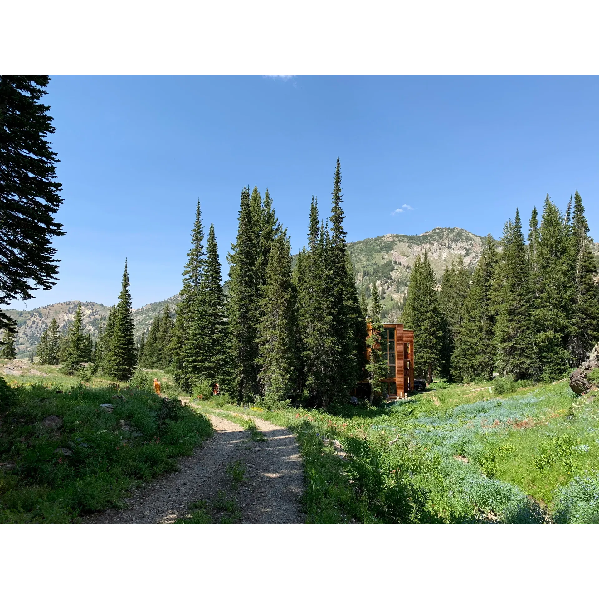 Albion Basin Campground is an exquisite outdoor paradise offering its visitors an immersive experience in nature's splendor. Surrounded by an array of vibrant, colorful blooms in the early summer, the area transforms into a picturesque landscape ideal for hikers seeking a scenic journey. Even beyond peak flower season, the beauty of the rugged trails persists, inviting adventurers to explore steep but manageable paths leading to breathtaking vistas.

This pristine destination is not only celebrated for its natural beauty but also for the impeccably maintained facilities. Guests frequently praise the cleanliness of the campground, highlighting even the outhouses for their unexpected freshness and upkeep.

A stay at Albion Basin Campground promises an array of activities, making it impossible to experience everything in just one visit. From the crystal-clear lake that offers spectacular views from every angle to the well-preserved sites, guests are ensured a comfortable and memorable retreat.

The campground is known for its excellent on-site management, with camp hosts who are renowned for their kindness and assistance. Their dedication to ensuring each visitor has a delightful stay contributes to the overall welcoming atmosphere of the site.

Adding to the charm, Albion Basin Campground exhibits a thoughtful touch with designated picture-perfect spots for capturing special moments. These carefully placed photo-op areas feature mats and instructive signage, allowing guests to take home a piece of the campground's magic without disturbing the natural environment.

Overall, the campground serves as an idyllic setting for both the ardent adventurer and the leisure-seeking photographer, all the while providing an exceptional standard of hospitality and care for the great outdoors. Description by ChatGPT.