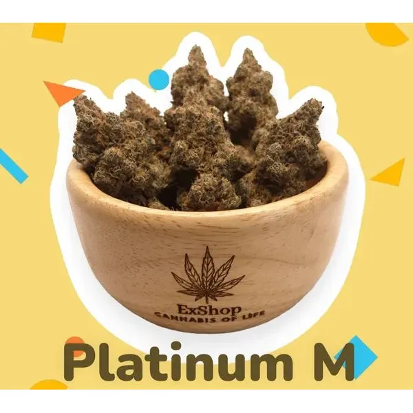 Whether you're a local resident or a traveler in search of outstanding cannabis selections, ExShop is your reliable source for a truly satisfying shopping experience. Description by ChatGPT.