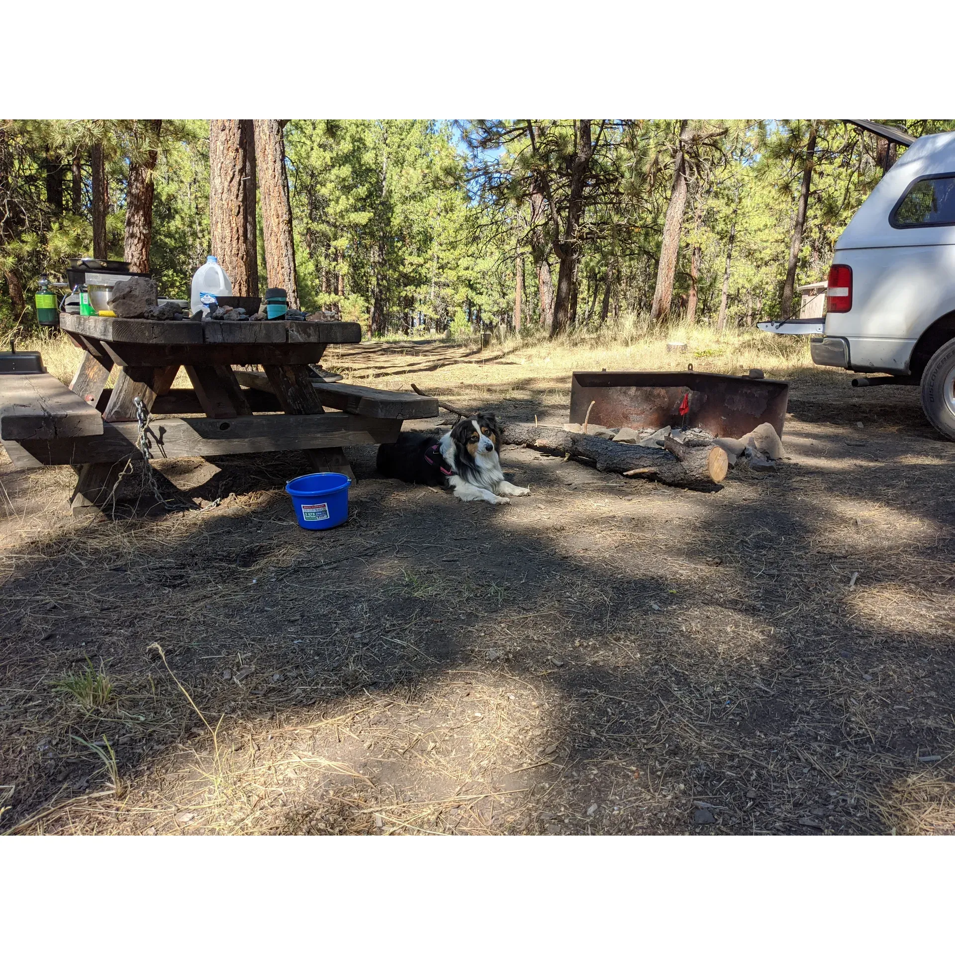 Elkhorn Campground emerges as a beloved escape for outdoor enthusiasts seeking both adventure and tranquility in an outdoorsy retreat. Garnering praise for its impeccable maintenance, the campground boasts a distinctive charm that includes well-appointed facilities, among which the cleanliness of its out houses stands out, reflecting the staff's commitment to guest comfort.

Guests frequently commend the campground for its pristine and serene environment, where the harmonious blend of nature's beauty with thoughtfully provided amenities creates an inviting atmosphere for relaxation and recreation. The well-manicured sites are spacious and offer a variety of options for different camping styles, accommodating everything from tents to RVs.

Visitors can enjoy a host of recreational activities in the surrounding area, making it an ideal spot for families, couples, and solo adventurers alike. The ease of access to hiking trails, fishing spots, and scenic viewpoints adds to the sense of getaway without sacrificing convenience. Elkhorn Campgrounds serves as a genuine retreat, allowing guests to connect with nature while enjoying the comfort of a well-cared-for space. Description by ChatGPT.