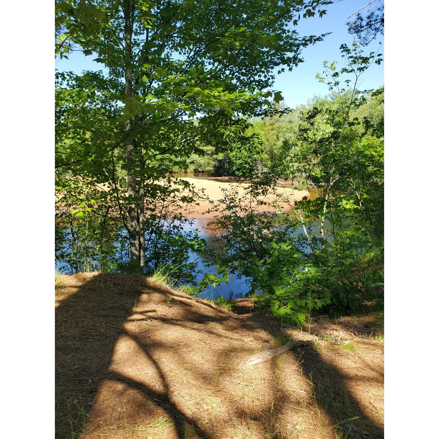 West Branch Campground is an idyllic escape from the hustle and bustle of everyday life, offering a perfect blend of tranquility and adventure. Steeped in memories and personal narratives, it has become an integral chapter in the life stories of many of its visitors. With its breathtaking back roads, the campground is considered by some to be one of the best-kept secrets of the region, promising a serene retreat within its beautiful surrounds.

The campsite prides itself on being a return to the basics of outdoor living, providing an opportunity for campers to immerse themselves in nature. The absence of water and electricity connections encourages guests to engage with the environment and fellow campers in a way that modern distractions often diminish. This minimalist approach resonates with those looking for a true camping experience and a chance to create lasting memories under the stars.

Visitors find the setting to be both picturesque and restful, offering a wide array of spots where they can pitch their tents or park their RVs among the lush scenery. West Branch Campground is a place of unwinding and reconnecting with nature, suitable for both the seasoned campers who appreciate the raw beauty of the great outdoors and newcomers eager to explore the natural world. Whether looking for a tranquil spot to reflect or an adventurous trail to conquer, West Branch Campground welcomes all who seek the timeless allure of the wilderness. Description by ChatGPT.