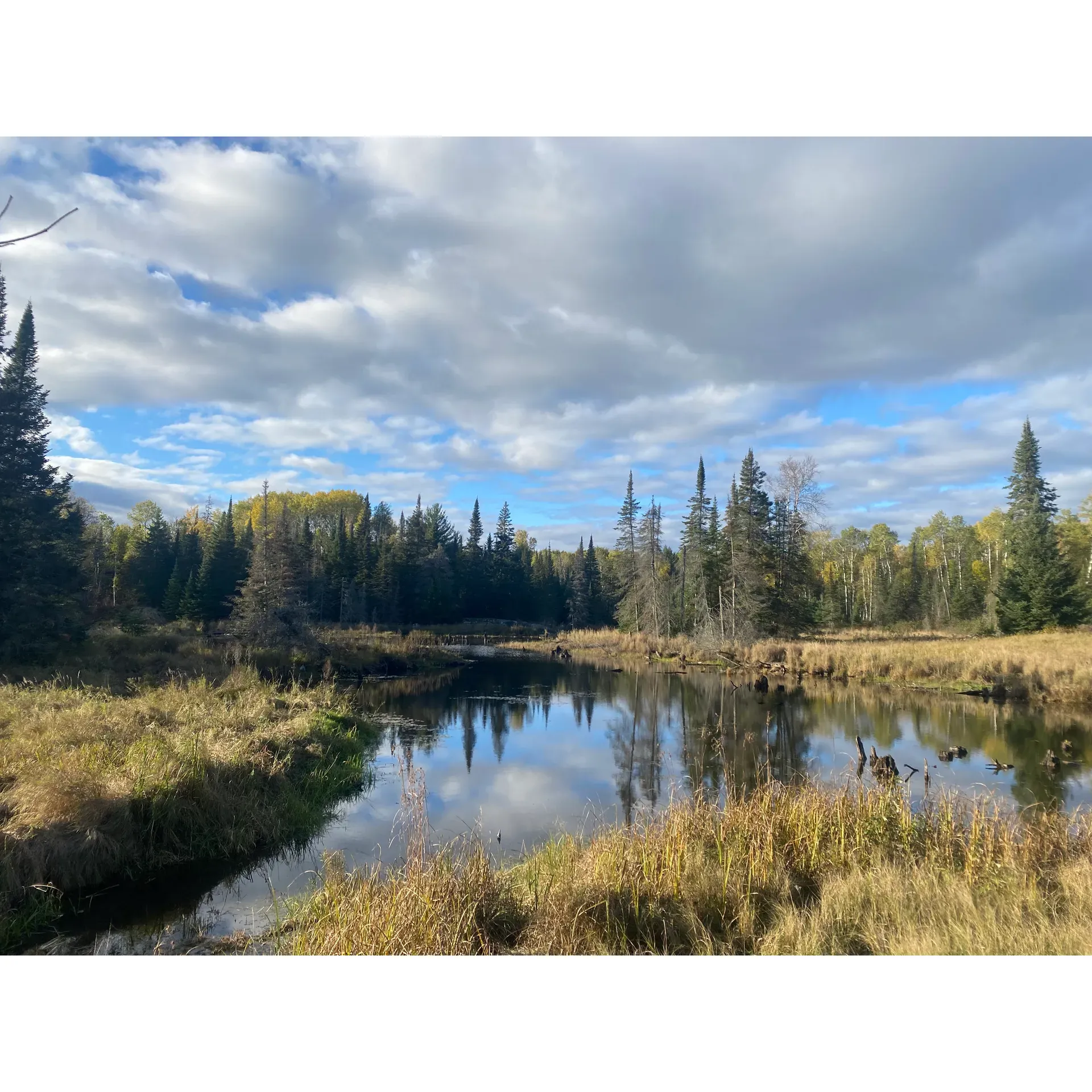 Little Shoepack Lake offers outdoor enthusiasts an idyllic destination within the Voyageurs National Park, where hikers can embark on a scenic trail culminating in picturesque vistas. Visitors delight in the tranquil beauty of the path, frequently adorned with the charming sights of beaver ponds that add to the serene environment. Further enhancing the experience is the lake's reputation as a splendid spot for anglers. With the opportunity to cast lines in peaceful surroundings, fishermen often find themselves thrilled by the chance to reel in impressive muskies, boasting memorable catches that add to the day's adventure. Perfect for those seeking a blend of gentle hiking and rewarding fishing, Little Shoepack Lake promises a delightful excursion for all who venture to its shores. Description by ChatGPT.