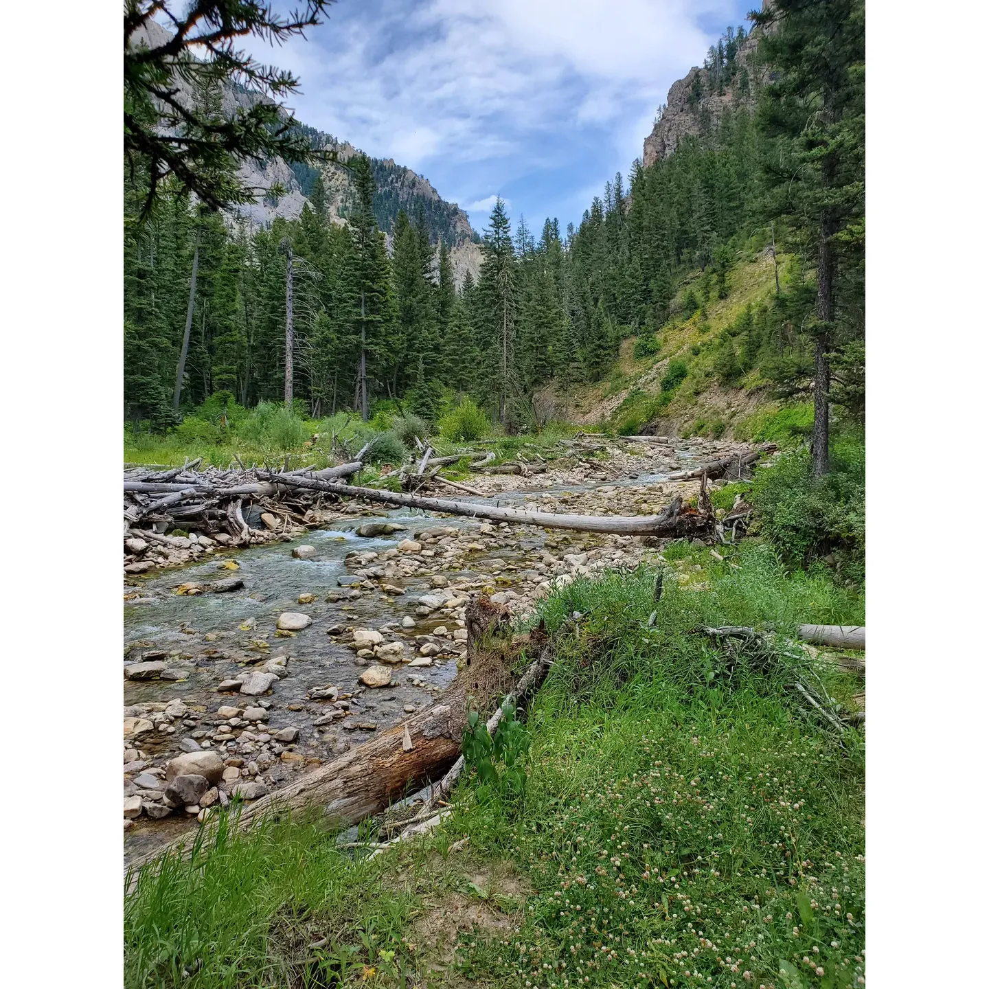 Cabin Creek Campground offers a serene and picturesque escape for nature lovers and outdoor enthusiasts. Located in close proximity to the majestic Yellowstone National Park and surrounded by lush mountains, the campground serves as an ideal base for a wide array of activities, including hiking, fishing, wildlife viewing, and exploring local attractions.

The campground boasts a well-maintained, scenic hiking trail that offers a delightful trek for visitors, providing an easy-to-navigate path that leads to stunning views of the surrounding landscape and the gentle river below.

Guests frequently commend the warm and welcoming camp host who enhances the camping experience with their delightful presence, adding a touch of personal charm to every stay. Amidst the tranquility, visitors are pleased to find the accommodations ample and the campsites, such as the notable site 5, to be quite appealing, many capturing the moment with photographs to share.

This quaint campground is appreciated for its proximity to both natural wonders and amenities like shopping and dining in West Yellowstone. Though devoid of hookups, guests relish the quietude and tidiness of the area. The availability of vault toilets and a singular water spigot ensures basic comforts are met, while guests also appreciate the opportunity to bring their beloved pets along.

Adding to the allure, Cabin Creek offers a scenic dirt road across the street leading to a renowned fly fishing locale, a favorite amongst anglers. The nearby trail is perfect for leisurely walks and wildlife observation, with the chance to spot roosting Bald Eagles adding a special touch to the experience.

Overall, the essence of Cabin Creek Campground is captured in its peaceful atmosphere, well-kept facilities, and the sheer natural beauty that envelops it, promising an enchanting getaway for those who seek the delight of the great outdoors. Description by ChatGPT.