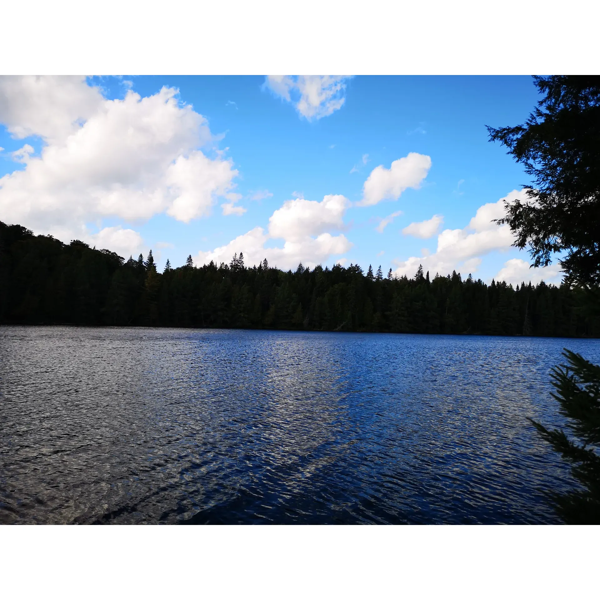 Red Wing Lake is a serene and beautiful body of water located in the Unorganized South Nipissing District of Ontario, Canada. The lake covers an area of approximately 25 hectares and is surrounded by forested areas, creating a peaceful and secluded atmosphere for visitors. Red Wing Lake is a popular spot for outdoor enthusiasts, offering opportunities for fishing, canoeing, kayaking, and wildlife viewing.

The lake is home to a variety of fish species, including largemouth bass, northern pike, and yellow perch, making it a popular destination for anglers looking for a relaxing day on the water. The surrounding area also offers hiking and biking trails, as well as camping and picnic spots for those looking to spend more time exploring the natural beauty of the region. Red Wing Lake is easily accessible by road, making it a convenient destination for both locals and tourists looking to enjoy a day of outdoor recreation in a tranquil setting. Description by ChatGPT.