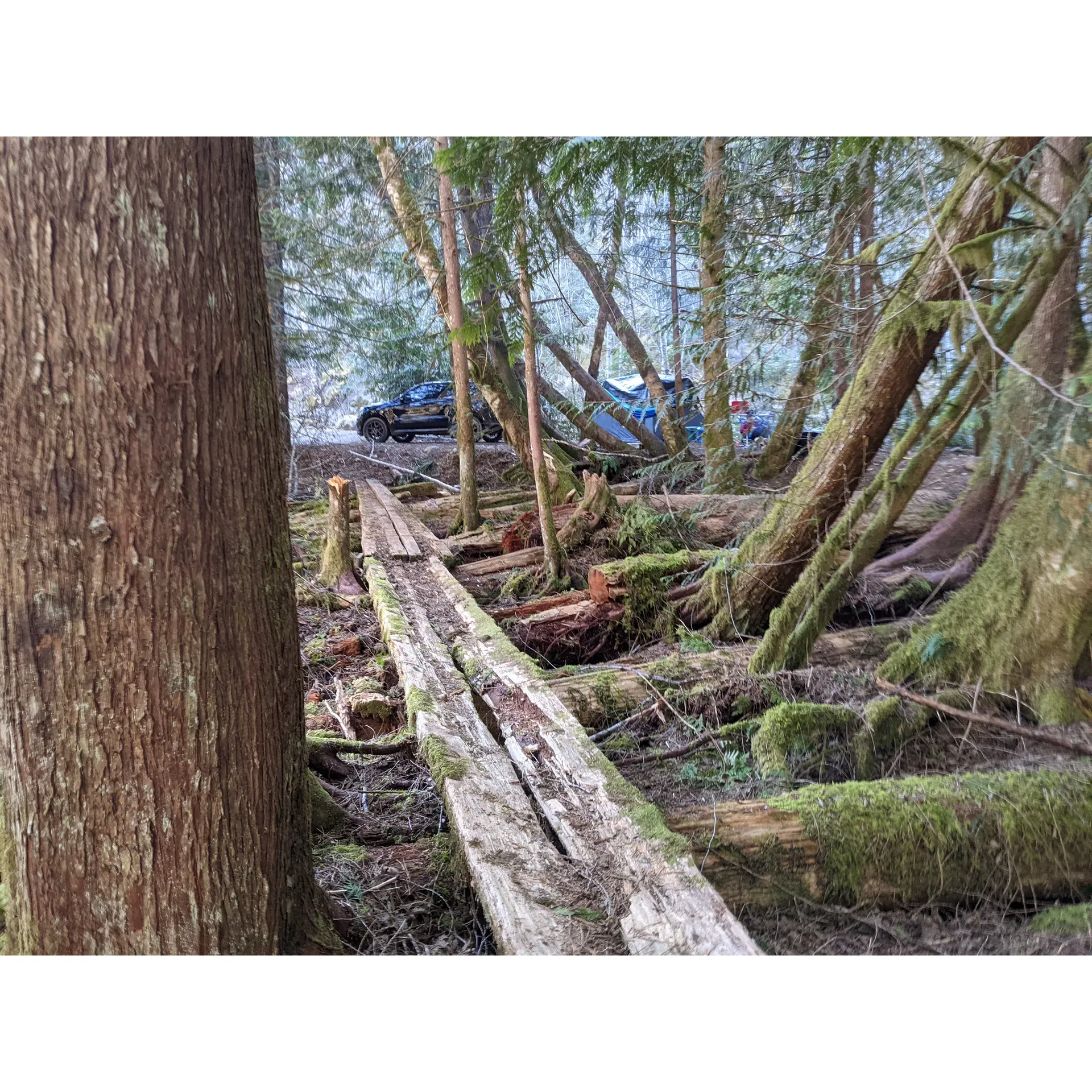 Riverside Recreation Site near Chilliwack Lake offers a splendid outdoor camping experience with the convenience of straightforward accessibility from main roads. A haven for both nature enthusiasts and casual campers alike, this scenic locale provides the essential amenities for a classic camping trip at a very reasonable rate of $17 per car, per night. With an emphasis on the natural environment, campers are encouraged to embrace the serenity of the site and adhere to the principles of leave-no-trace to maintain the beauty and cleanliness of the area. 

Guests can look forward to immersing themselves in the tranquility that permeates this location. Surrounded by refreshing woodland scenery and soothing river sounds, campers are treated to a raw and authentic outdoor retreat. The area promotes a welcoming, community-oriented atmosphere where the friendly host diligently strives to offer a comfortable and tidy environment.

Riverside Recreation Site represents an ideal destination for those seeking to disconnect from the hustle and bustle and reconnect with the great outdoors. Whether it's for an overnight adventure or a longer sojourn into the wilderness, this campsite promises an invigorating experience wrapped in the simplicity and charm of nature's offerings. Description by ChatGPT.