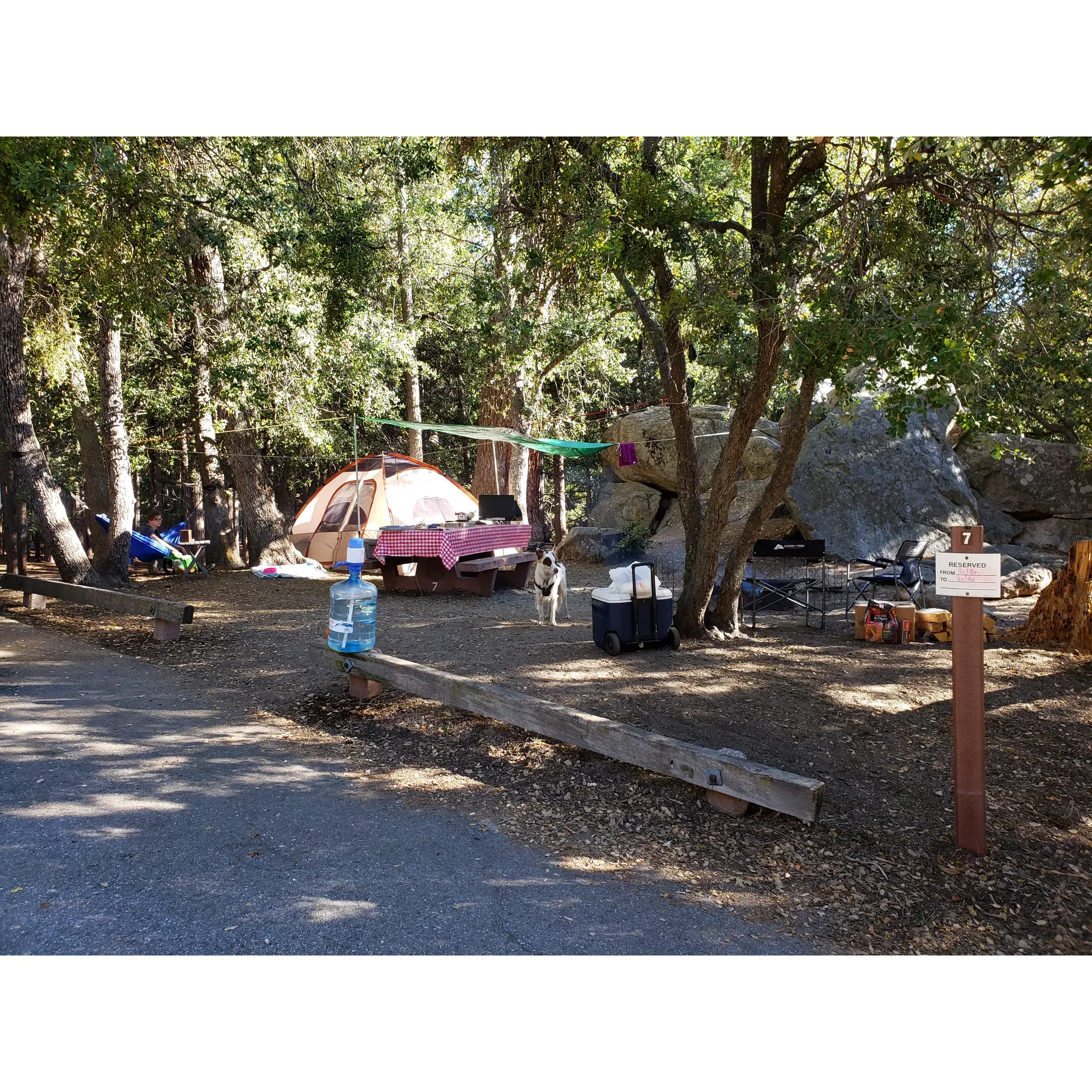 Fern Basin Campground offers an idyllic retreat for campers seeking a serene getaway immersed in the beauty of nature. Surrounded by a majestic forest setting, visitors can look forward to a tranquil and picturesque escape from the everyday hustle.

This charming campground boasts 22 well-maintained sites, providing a mix of reservable spots and first-come-first-serve options, ideally suited for tent camping. The sites are generously sized to accommodate campers and their gear, with the lush landscape offering a pleasant ambiance for relaxation and privacy.

Guests can enjoy the simplicity of outdoor living with basic amenities that contribute to an authentic camping experience. The onsite bathrooms are equipped with clean vault toilets, adding convenience while ensuring the area remains pristine. While there is currently no water availability directly at Fern Basin Camp, nearby Marion Mountain Campground serves as an alternative source for water needs.

The campground is a haven of tranquility where visitors can disconnect from their digital lives, as cellular connectivity is limited, depending on the service provider. This provides a perfect opportunity for campers to soak in the peaceful surroundings, engage in outdoor activities, or simply relax and rejuvenate in the calmness of the woods.

With a rate of only $10 per night, guests find exceptional value for a memorable camping adventure. Campers are encouraged to explore the diverse landscape both within and beyond the campground boundaries, offering a chance to experience the rich flora and fauna of the area.

Environmental stewardship is a shared responsibility at Fern Basin Campground, with facilities in place to ensure the preservation of the natural beauty. Visitors are reminded to contribute to the effort by responsibly disposing of trash and maintaining the cleanliness of their campsite.

Whether looking for a charming weekend retreat or a convenient stopover during travels, this delightful campground is a true gem that promises a relaxing, affordable, and enjoyable outdoor experience in a splendid forest setting. Description by ChatGPT.