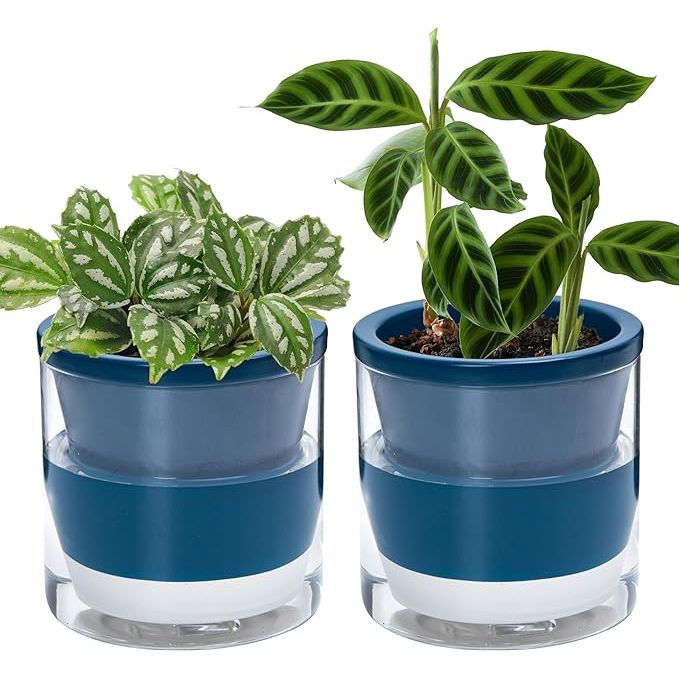 The D'vine Dev 6 Inch Design Self Watering Planter for Indoor Plants is a set of 2 blue terracotta pots with a cylinder glass cup designed to keep your indoor plants hydrated without the need for frequent watering.
