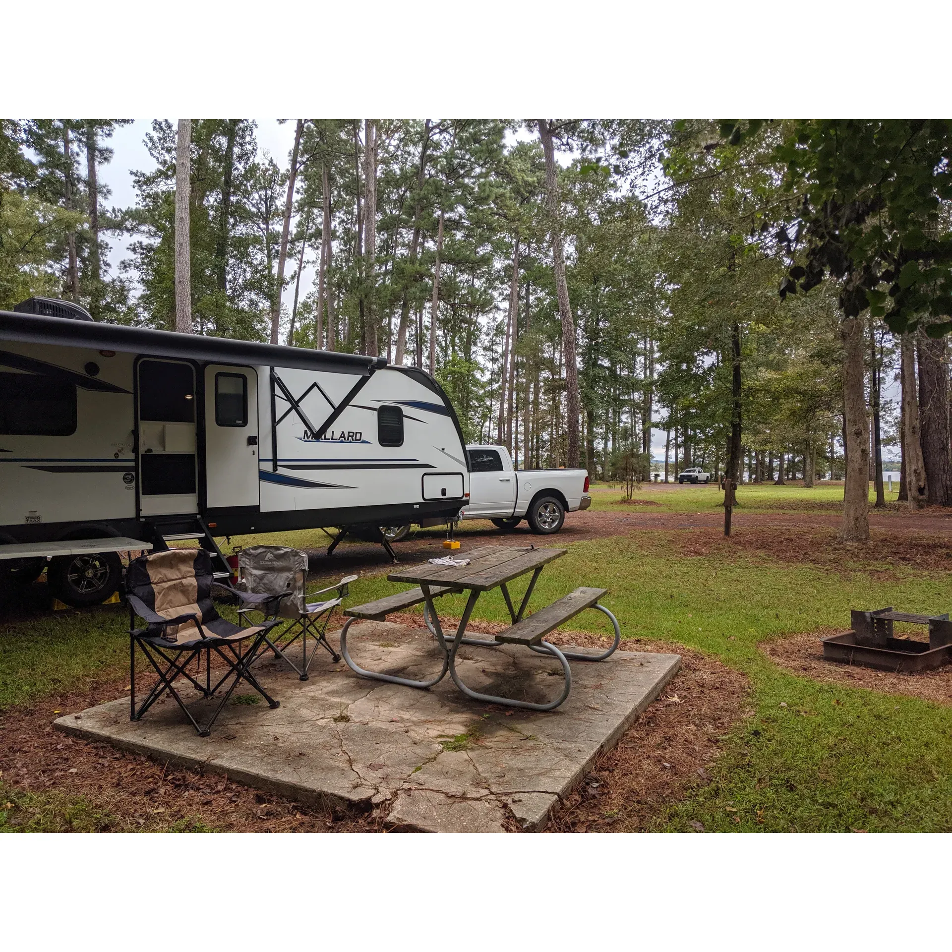 With its lush forests and serene setting, Walnut Ridge Unit at Martin Dies Jr State Park is a beacon of tranquility for the weary traveler. For those journeying across states, the park offers a scenic reprieve from the monotony of long-hour drives, allowing visitors a chance to recharge in the midst of nature's splendor. A testament to its meticulous care, the park boasts pristine facilities, including spotless bathrooms, ensuring guests can freshen up comfortably amidst their outdoor adventures.

For camping enthusiasts, Walnut Ridge Unit promises a memorable experience with its myriad of well-maintained amenities. Visitors can relish the convenience of 50 AMP hookups, catering to the needs of modern RVs and ensuring a comfortable stay. The park's capacious sites are surrounded by the grandeur of towering trees, providing not just ample shade but also a sense of solitude and connection with the environment.

Anglers, hikers, and canoeists will find plenty of activities to engage with, as the park offers rich fishing spots, an extensive network of trails, and tranquil waters for canoeing, each serving as a perfect canvas for both relaxation and exploration. Moreover, Walnut Ridge Unit is known for its special daily activities, adding a burst of excitement and community spirit to any stay.

For those who delight in the companionship of wildlife, the park's diverse ecosystem offers an array of fauna that adds to the allure of this natural paradise. Guests can anticipate the thrill of wildlife encounters, with the respectful reminder to maintain a safe distance and safeguard both the animals and themselves.

The park is also recognized for its vastness, giving visitors the opportunity to immerse themselves in the splendid isolation of the wilderness while still enjoying the conveniences of electric power and water hookups, along with accessible dumping stations. Whether seeking solitude, family fun, or a restful stopover, Walnut Ridge Unit in Martin Dies Jr State Park stands out as an exemplary choice for a well-rounded outdoor adventure, promising to leave visitors with lasting memories and a yearning to return. Description by ChatGPT.