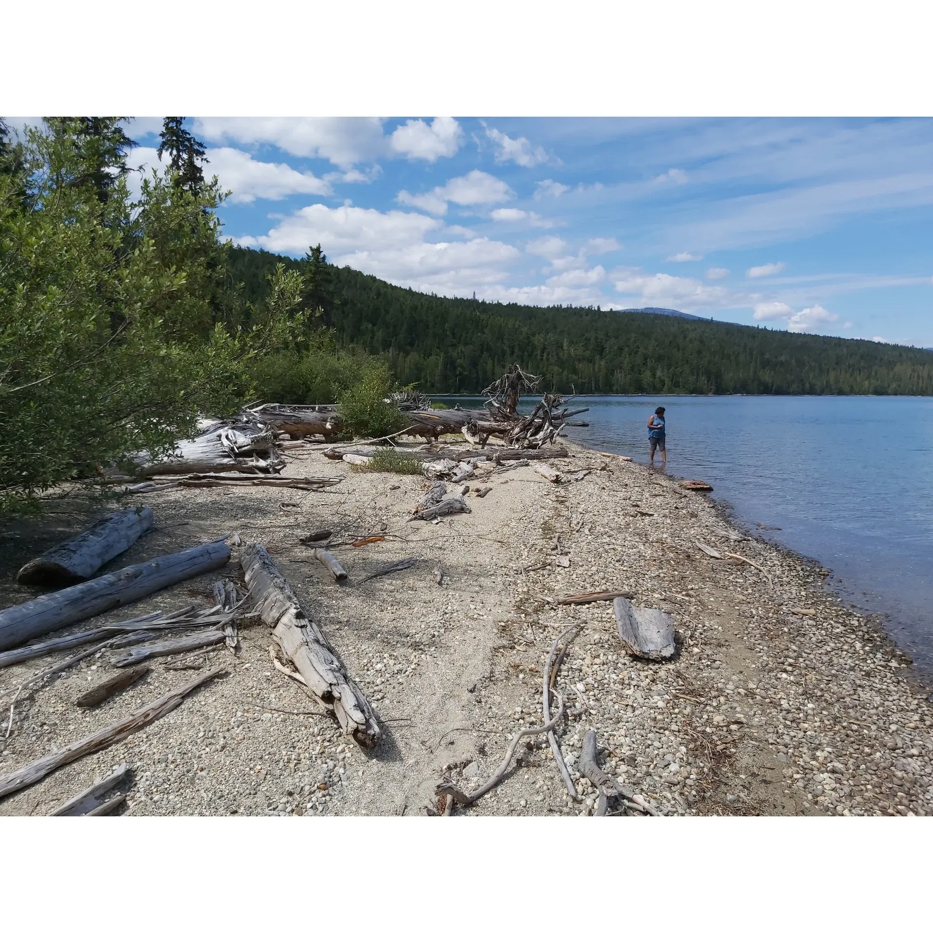 Barella Creek Campground offers an ideal retreat for outdoor enthusiasts looking to immerse themselves in the tranquil wilderness. Perfectly suited for family gatherings and group expeditions alike, this campground provides ample space to accommodate a diverse range of party sizes and camping setups. Embraced by the beauty of the great outdoors, visitors will relish the convenience of being just a short, level stroll from the picturesque beach, allowing for spontaneous seaside adventures and sunset viewings.

The facility ensures a harmonious experience with nature, providing essential amenities like clean outhouses and secure bear lockers to maintain the area's pristine condition while assuring guest safety. Numerous boardwalks crisscross the environment, protecting the natural wetland habitats and offering guests a gentle walk through the delicate ecosystem without disturbing it.

Social gatherings are effortlessly hosted at the campground, with not one but two picnic tables for shared meals and storytelling. Each site also comes equipped with at least one fire ring, ready for those storytelling sessions to be accompanied by the warmth of a crackling campfire (whenever local regulations permit).

Visitors who have enjoyed the delights of Barella Creek Campground describe it as a 'Totally scenic' location, a testament to the breathtaking vistas that await. Day or night, visitors savor a serene experience filled with the gentle sounds of nature, refreshingly clear skies, and a sense of peace that makes for a truly enjoyable stay. Whether you are paddling in from nearby attractions or simply seeking a peaceful haven, Barella Creek Campground is a cherished spot that beckons to those wishing to escape the bustle of life and indulge in nature’s embrace. Description by ChatGPT.