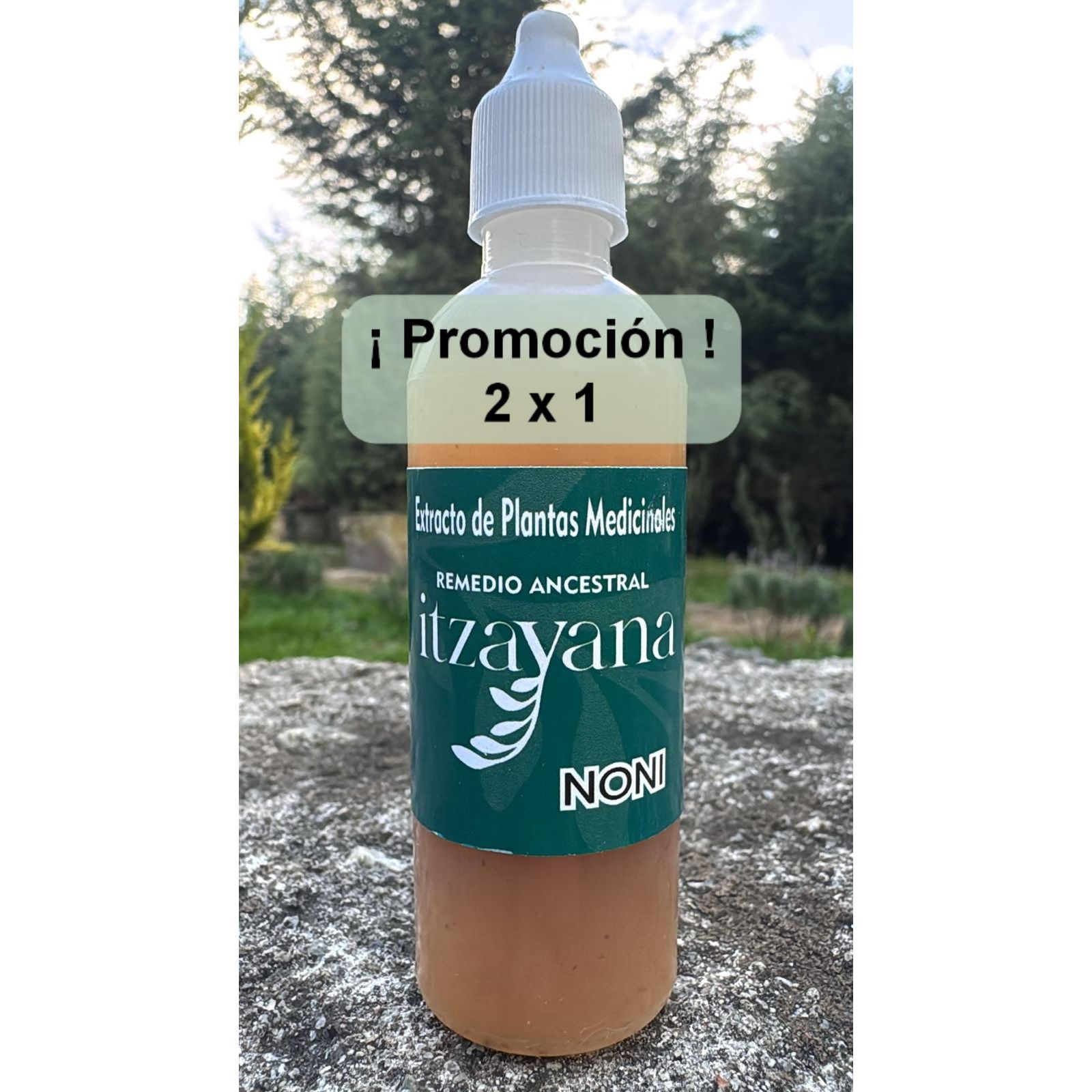 Discover Noni Tincture, a powerful natural extract that offers a wide range of health benefits. Coming from the fruit of the noni, scientifically known as Morinda citrifolia, this product is ideal for those looking to improve their well-being and quality of life.