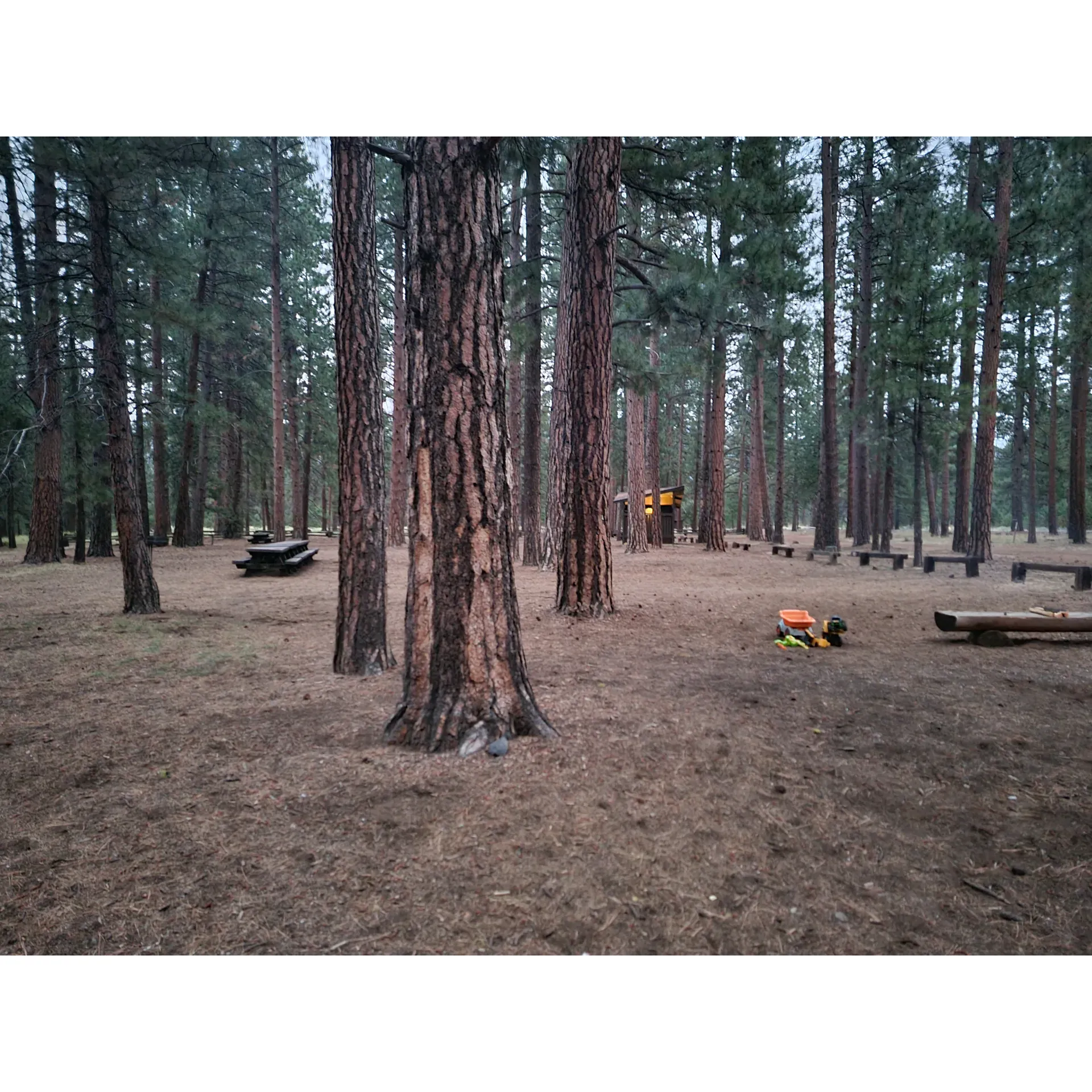 West Eagle Group Campground offers an expansive outdoor landscape ideal for large gatherings, with the capacity to comfortably accommodate groups of up to 75 and 100 members. Visitors consistently praise the campsite for its ample space that allows everyone, particularly children, the freedom to play and explore in a serene setting. The scenic panorama overlooking the lake provides a stunning backdrop for visitors looking to relax and enjoy the beauty of nature.

Among the campground's notable amenities is a well-maintained network of paved pathways connecting the various sites and local parks. This feature ensures convenient accessibility throughout the grounds for all guests. The restrooms at West Eagle Group Campground are frequently commended for their cleanliness and the provision of running water, adding to the comfort and convenience of the camping experience.

Fishing enthusiasts will find particular delight at the nearby boat ramp, where the presence of small fish suggests promising angling opportunities. Additionally, the campground offers a tranquil atmosphere perfect for those seeking a retreat for contemplation and relaxation, with attentive hosts to ensure a pleasant stay.

Visitors to West Eagle Group Campground can bask in the aural beauty of a silent forest and the serene remoteness of a mountain atmosphere, making it an excellent location for those who appreciate a quieter outdoor experience. With a range of amenities and the great outdoors to enjoy, West Eagle Group Camp grants campers a memorable and peaceful getaway amidst nature's grandeur. Description by ChatGPT.