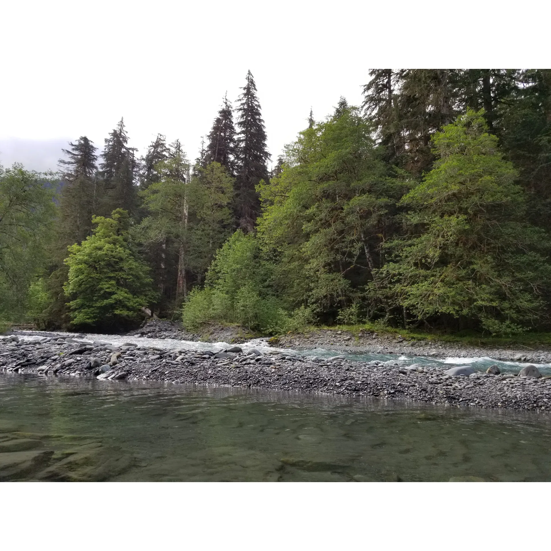 O' Neil Creek is a small creek located in Washington, USA, near the town of Port Angeles. It flows through Olympic National Park, a popular destination for outdoor enthusiasts and nature lovers. The creek is an important tributary of the Elwha River, which is known for its beautiful scenery and abundant wildlife.

O' Neil Creek is surrounded by lush forests and tall mountains, offering visitors a serene and peaceful setting to enjoy the sights and sounds of nature. The creek is also home to a variety of plant and animal species, making it a great spot for birdwatching and wildlife viewing. Hiking trails near O' Neil Creek provide opportunities for visitors to explore the area and take in the stunning views of the surrounding landscape.

Overall, O' Neil Creek is a hidden gem in the Pacific Northwest, offering a peaceful and picturesque escape from the hustle and bustle of everyday life. Whether you're looking to hike, fish, or simply relax and enjoy the beauty of nature, O' Neil Creek is a must-visit destination for outdoor enthusiasts in Washington. Description by ChatGPT.