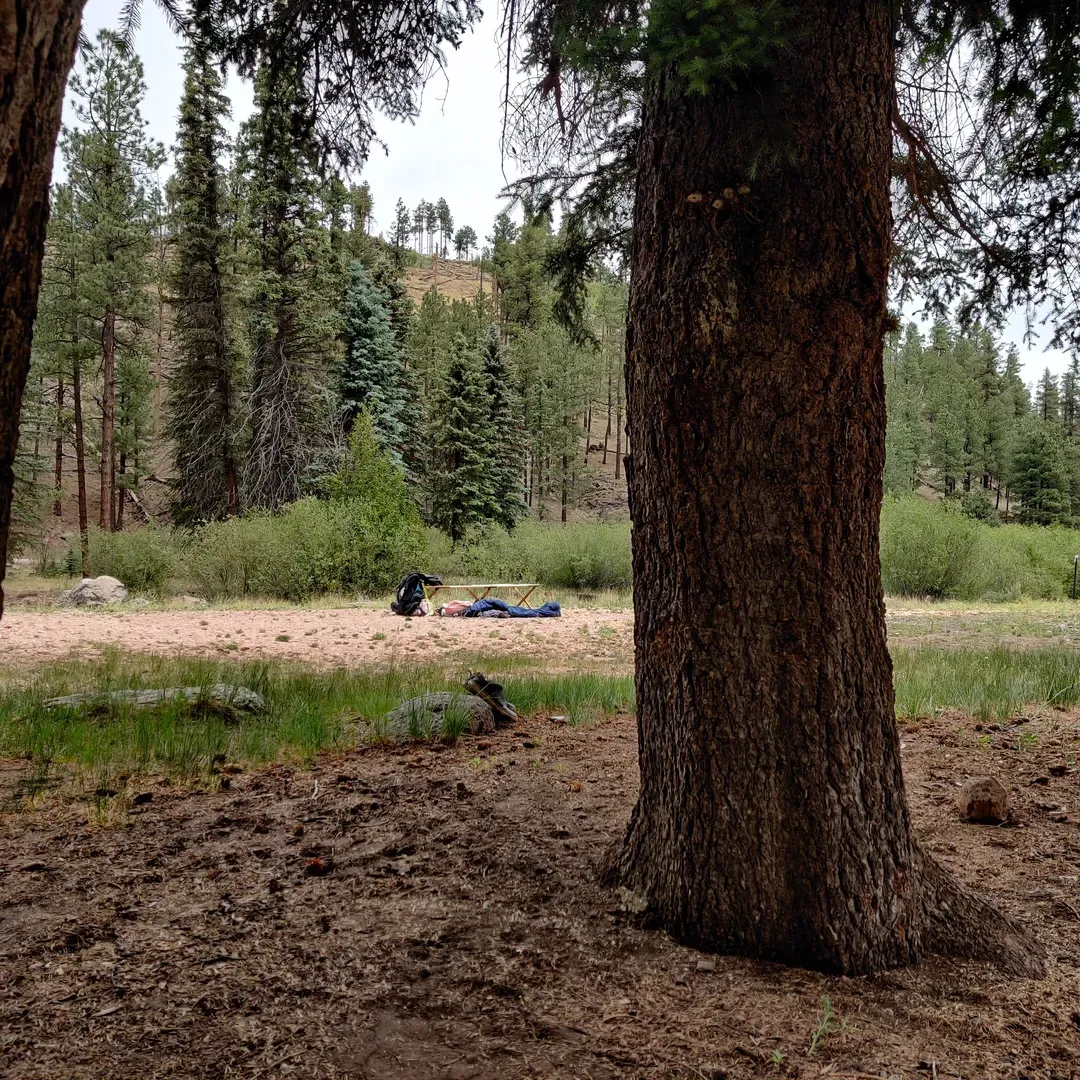 Willow Creek Campground offers an oasis of tranquility for those looking to escape the hustle and bustle of daily life. Set alongside the gently flowing waters of Willow Creek, the campground presents a symphony of natural sounds that promises to soothe and relax visitors. It's a place where the calm murmur of the creek provides a constant backdrop for a peaceful retreat.

As a secluded destination, Willow Creek Campground ensures a sense of privacy and intimacy with its limited number of camping sites, allowing guests to immerse themselves in nature without the intrusion of crowded spaces. The setting invites a variety of local wildlife, including graceful deer that can often be spotted meandering through the area, adding to the campground's enchanting atmosphere.

The campground is well-maintained, with clean outhouses that reflect a commitment to both comfort and environmental stewardship. Despite its relatively remote location, which adds to its charm and sense of adventure, the journey to Willow Creek Campground is one that is highly treasured by those who appreciate its hidden allure and the reward of remarkable serenity that awaits. For nature enthusiasts and those who grew up with fond memories of the surrounding region, Willow Creek Campground remains a beloved and pristine getaway, offering a unique opportunity to reconnect with the great outdoors where the creek still runs freely, defying the arid surroundings of New Mexico. Description by ChatGPT.