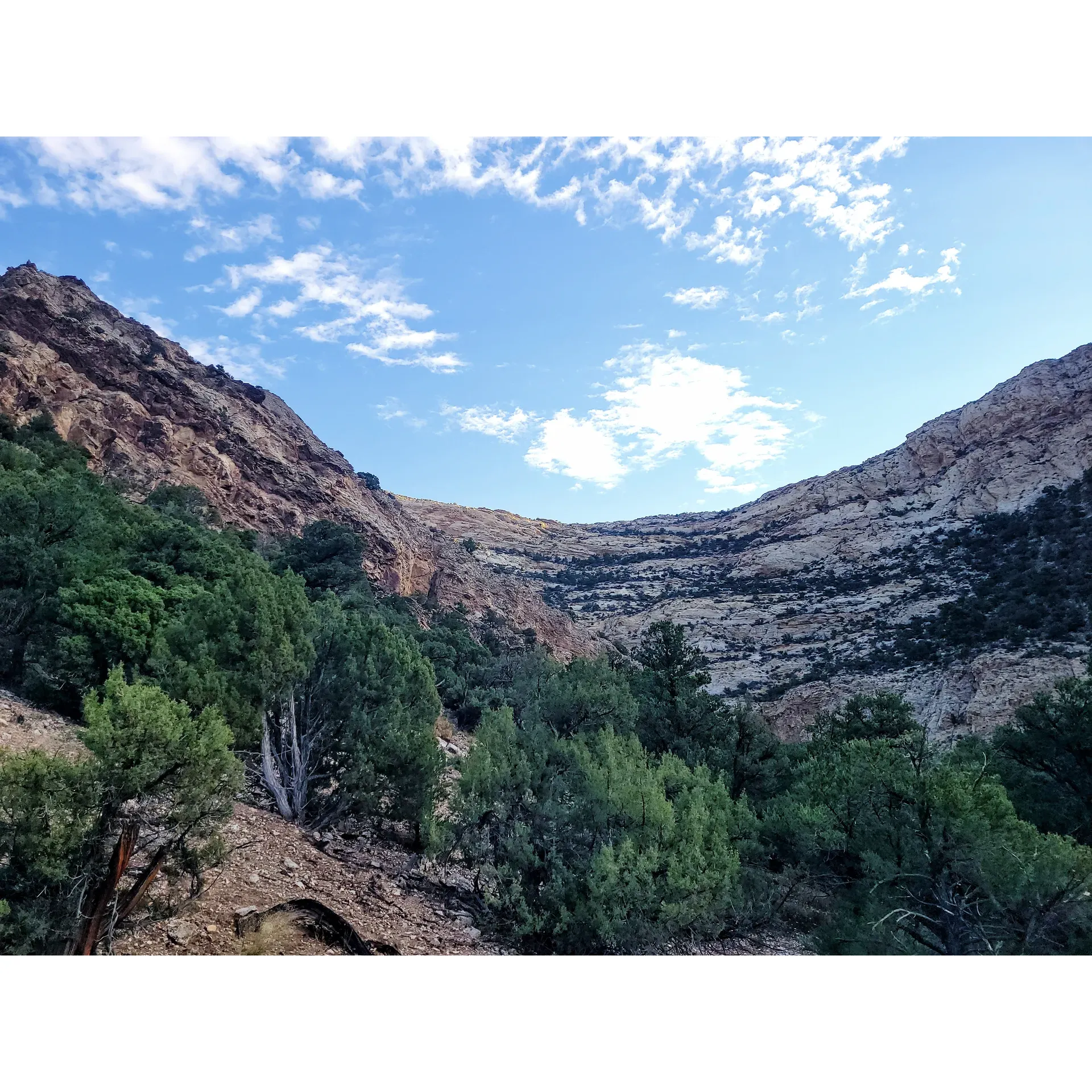 Irish Canyon Campground stands out as a tranquil oasis for the outdoor enthusiast yearning for a genuine connection with nature. Free of charge and set amidst the enchanting scenery of Irish Canyon, this campground offers the perfect backdrop for a variety of picturesque outdoor activities. Bird watchers will find themselves delighted by the diversity of avian life, while those seeking the simple pleasures of a sunrise or sunset will discover each day offers a new masterpiece painted across the canvas of the majestic canyon walls.

Surrounded by historical significance that echoes through the landscape, Irish Canyon Campground encourages visitors to delve into the rich tapestry of the area's past, enhancing the depth of their camping experience. History buffs will appreciate the close proximity to the Irish Canyon petroglyphs, witnessing the stories etched by ancient hands.

Each campsite comes equipped with sturdy metal fire pits for a classic campfire experience and a picnic table to enjoy meals surrounded by nature's splendor. While amenities such as water and electricity are absent to preserve the rustic charm, well-maintained bathrooms contribute to the comfort of your stay. Guests with canine companions will be pleased to know that their furry friends are welcome to join in on the adventure.

The location of the campground is a convenient gateway to the wonders of the Sand Wash Basin, where natural beauty abounds and invites exploration. Visitors are treated to awe-inspiring rock formations and a celestial theater of stars after dusk, turning nights into an astronomical delight.

Irish Canyon Campground is a "hidden gem" that offers the fundamental ingredients for an authentic and unforgettable camping trip. It's a peaceful retreat where the sounds of modern life give way to the serene echoes of the canyon, and despite the summer warmth, the breathtaking views provide a strong incentive to embrace the great outdoors. This remote getaway is for those who appreciate the raw and untouched allure of the wild, presenting a chance to unwind and forge memorable moments under the vast Colorado sky. Description by ChatGPT.