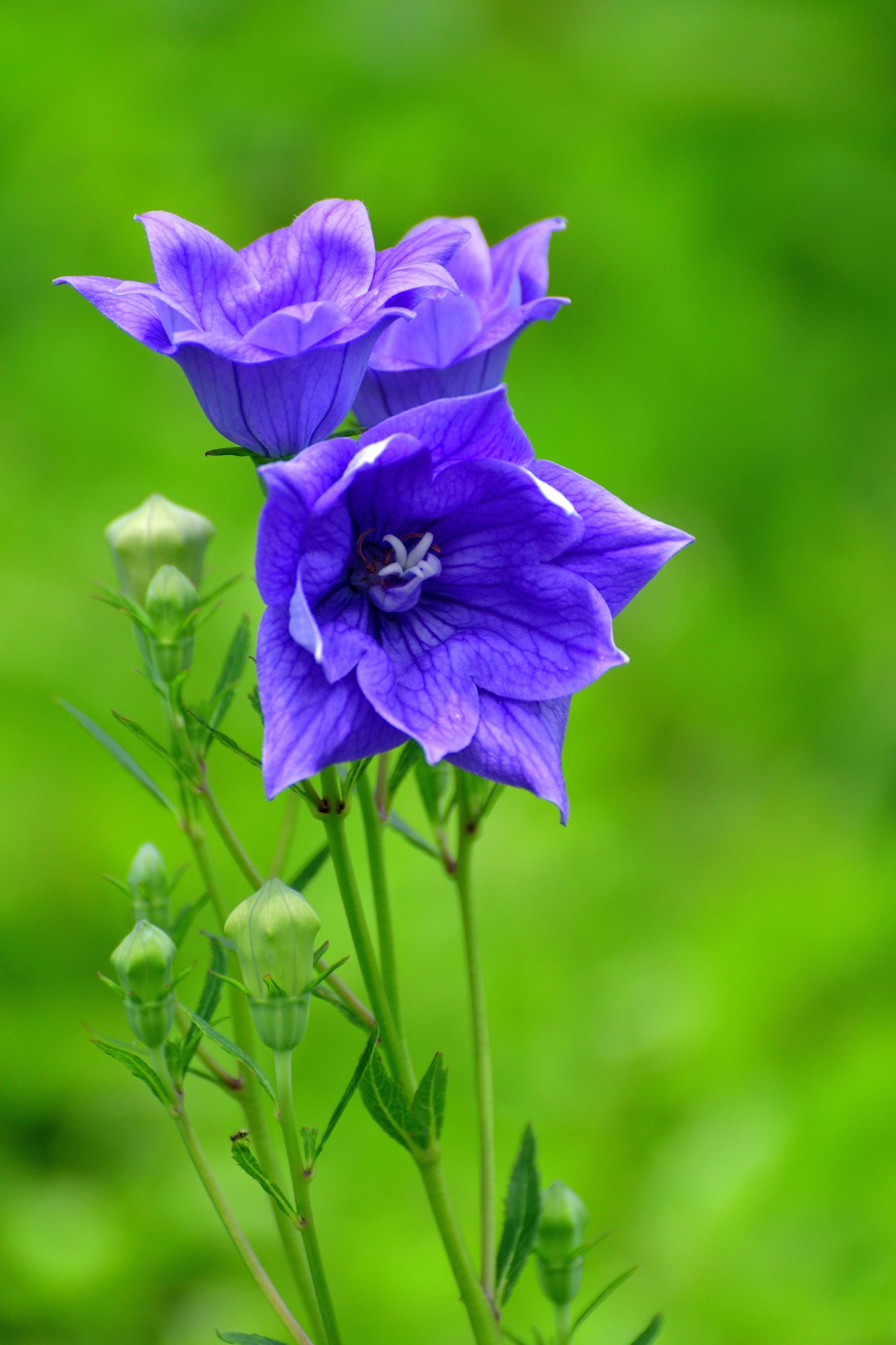 test2
