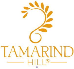 Tradition and taste.
Our goal is to bring global flavours to the local community by introducing a modern approach to Indian cuisine. Our menu offers unique flavours through a unique blend of cuisines from all over India.