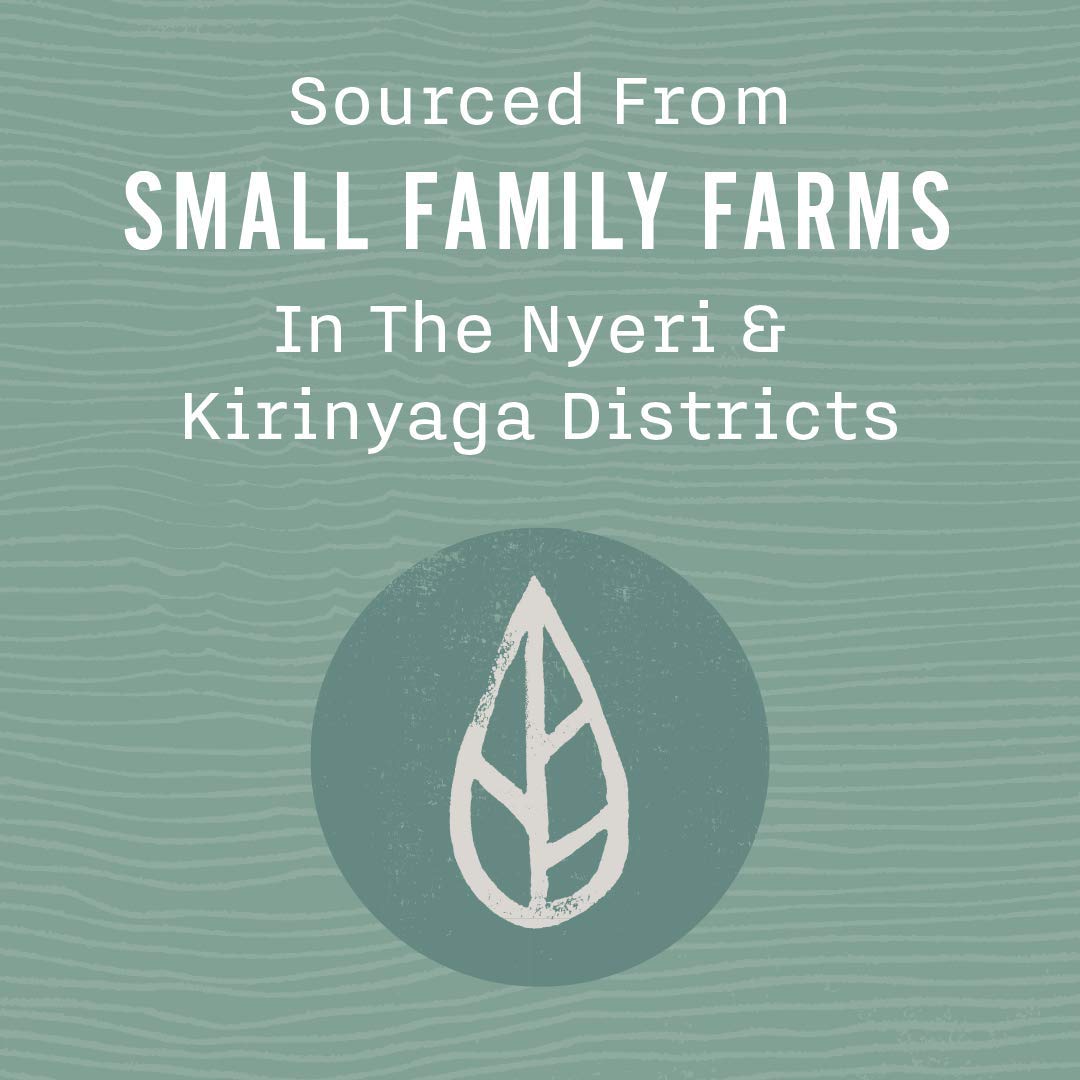 Elevate your coffee drinking experience with our exceptional blend, carefully crafted from beans that originate in the rich red volcanic soil between Mt. Kenya and the Aberdare Mountain range. On small, high elevation half-acre farms, our specialized growers tend to these beans with utmost care, resulting in a unique flavor profile that showcases the mesmerizing essence of red wine, blackberry, and currant. Selected through a rigorous process, our premium lots bear the exclusive Grand Cru mark, indicating their superior quality. These handpicked lots are procured weekly through auctions held in Nairobi, ensuring a constantly evolving rotation of only the finest selections. Indulge in the luxurious taste of our exclusive Grand Cru coffee, an unrivaled blend crafted with expertise and passion. 