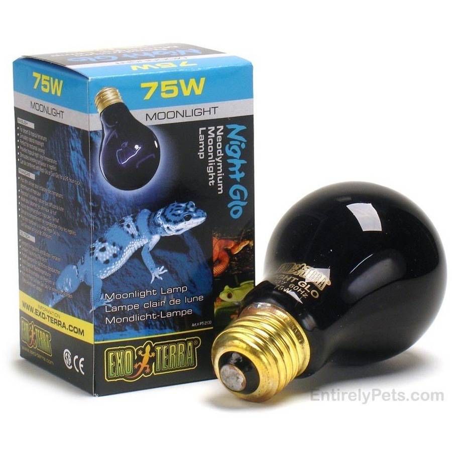 The Exo Terra Night-Glo T10 Moonlight Terrarium Lamp Features and Benefits: