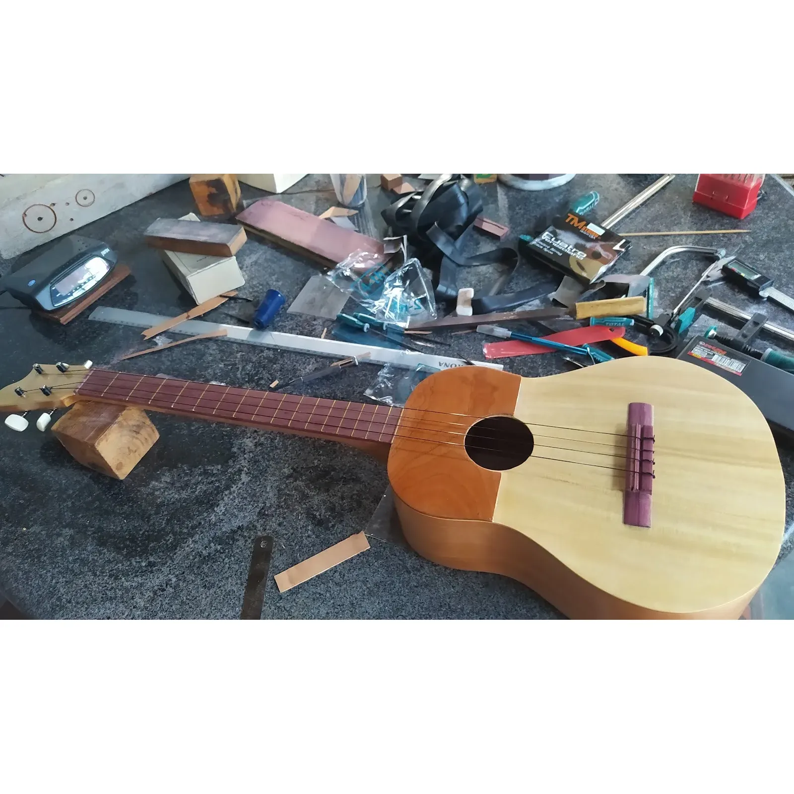 1 Luthier Andrés Álvarez