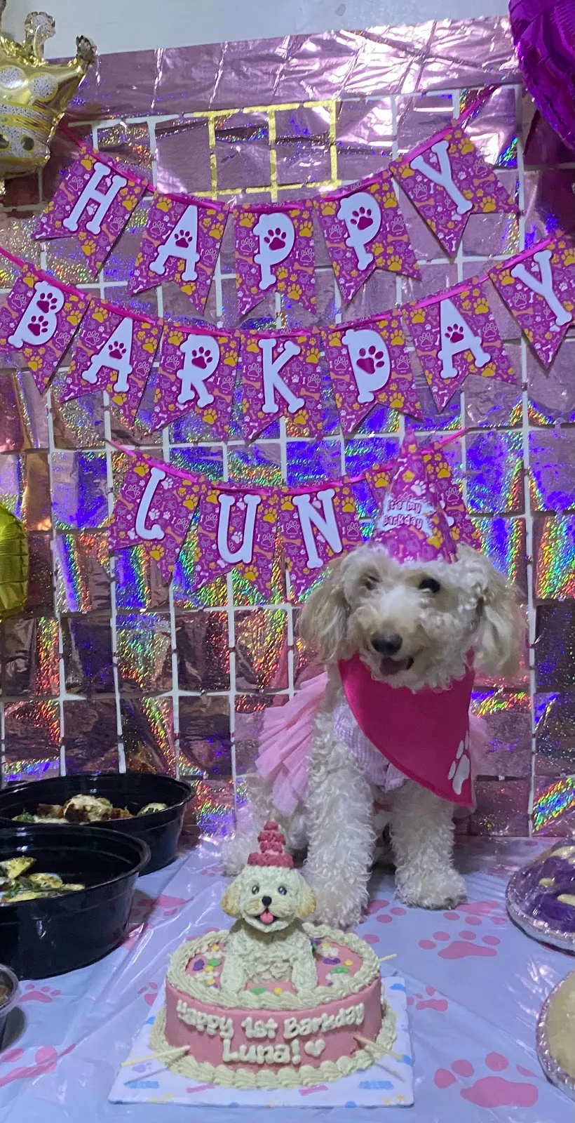 The array of offerings extends beyond cakes to include delectable cupcakes and bento boxes, all of which meet the highest quality standards. Pets are treated to sumptuous flavors that cater to their palates, and the food's quality keeps pet parents returning for more celebratory moments.