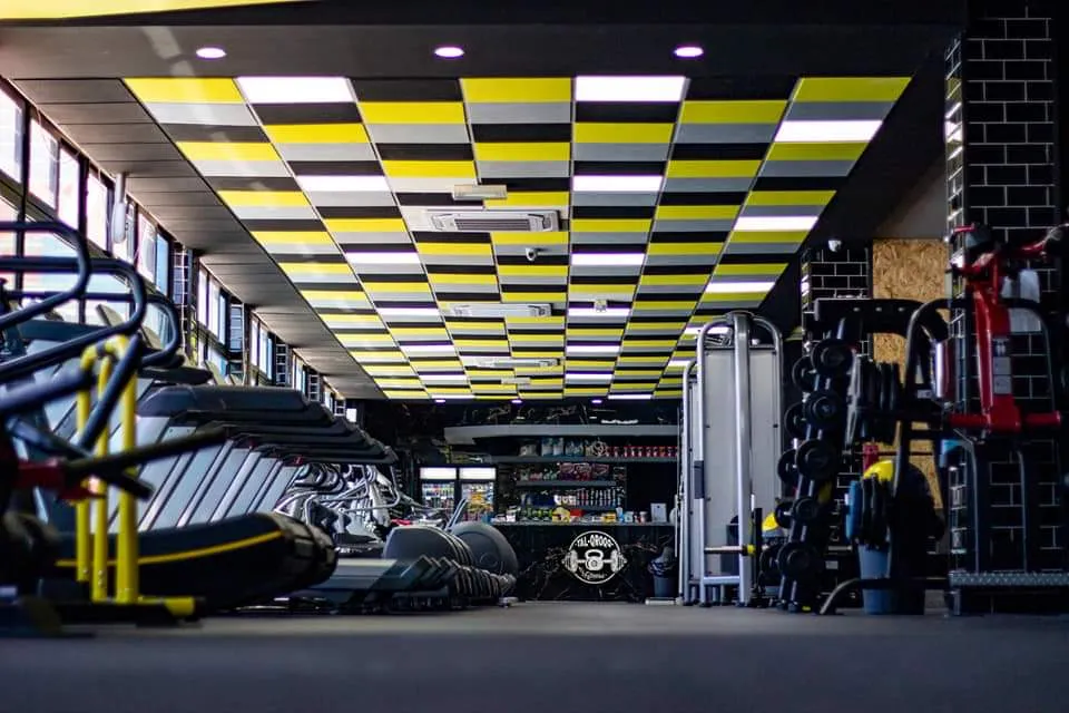 Tal-Qroqq Fitness Centre stands out as a premier destination for fitness enthusiasts looking for a comfortable and efficient workout environment. With its extensive array of equipment, members are spoilt for choice, ranging from a variety of free weights to a comprehensive selection of cardio machines. The gym’s layout is thoughtfully designed to cater to all fitness levels, ensuring a complete and satisfying workout experience.