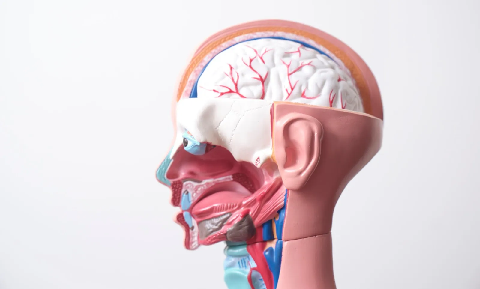 Patrons, both local and international, have experienced the care and precision with which Ronald addresses their diverse musculoskeletal issues. His ability to perform specific, highly technical adjustments is often lauded by clients who leave feeling rejuvenated and able to enjoy their schedules without the hindrance of physical discomfort.