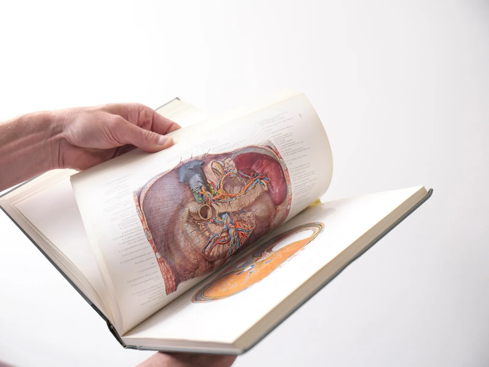 Overall, the consensus amongst those who have entrusted Osteopaat Amsterdam Centrum with their wellbeing is one of utmost satisfaction and heartfelt recommendation. With a perfect blend of experience, knowledge, and professionalism, it stands out as a trusted destination for those in need of high-quality osteopathic care. Description by ChatGPT.