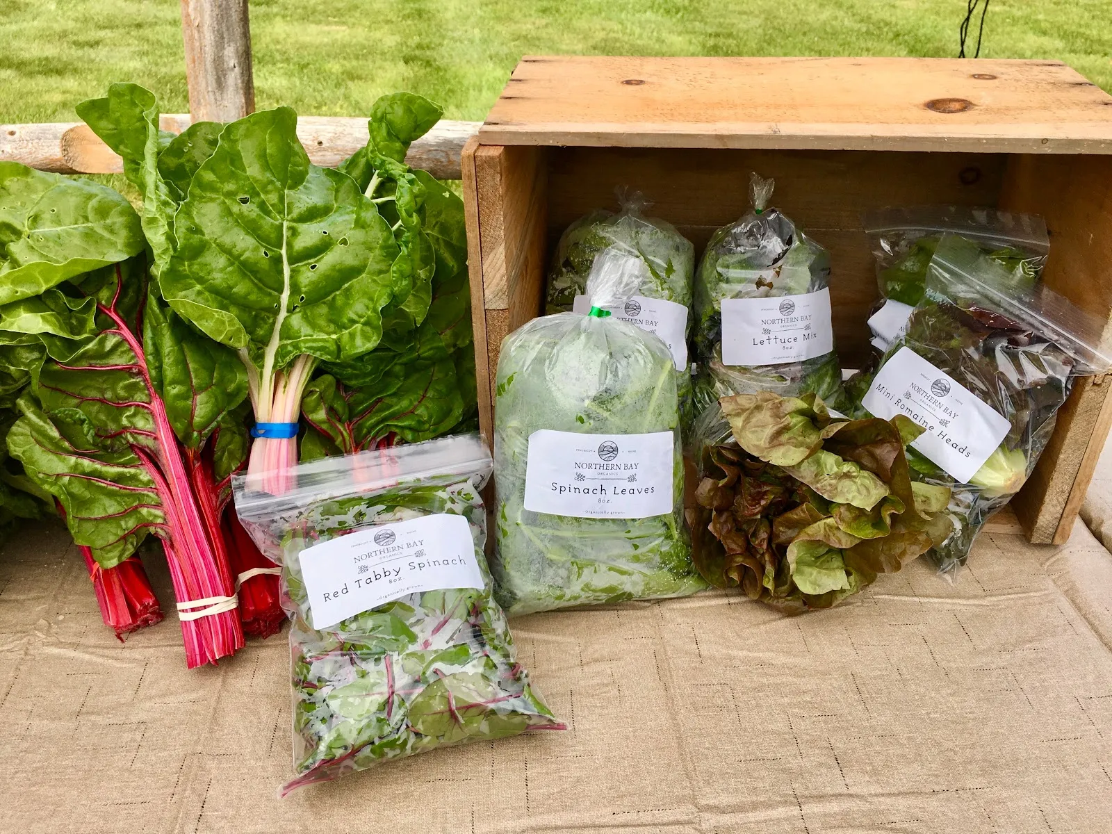 Northern Bay Organics has carved out a remarkable reputation as a beacon of sustainable farming, providing an essential service to urban areas that crave access to naturally grown produce and ethically raised meats. Exemplifying the virtues of small-scale agriculture, this farm has become a cherished source of healthful, organic options for a community eager to support local and environmentally friendly practices.