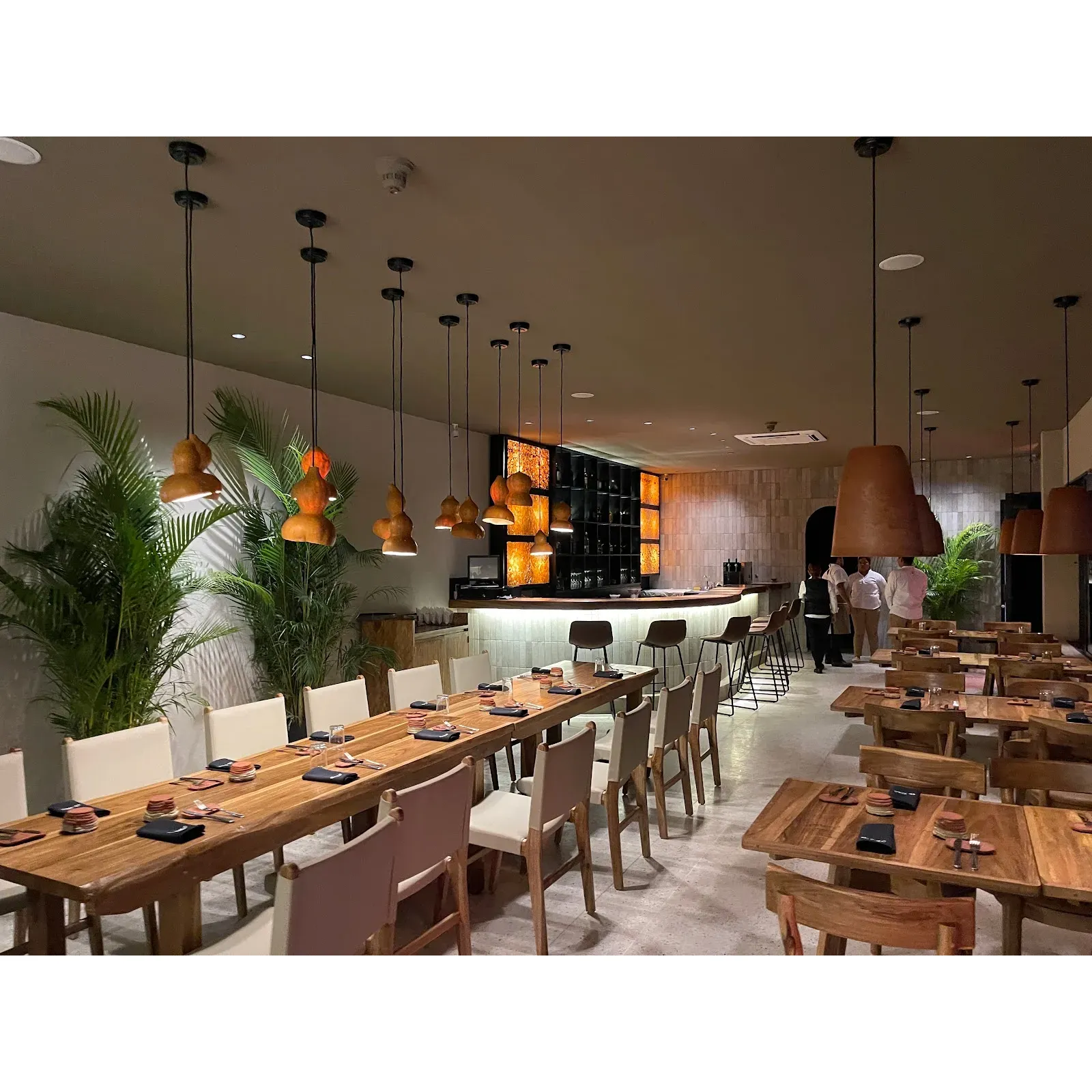 El Xolo is a culinary gem that delights the senses with a symphony of extraordinary flavors, artfully presented in their delectable small dishes.