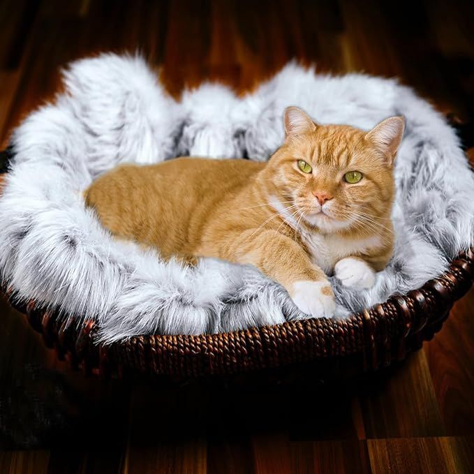 The Fluffy Pet Dog Cat Bed Mat is a soft and cozy sleeping surface for your furry friend. Made from plush faux fur, this mat provides warmth and comfort for small dogs and cats. It is washable, making it easy to keep clean and maintain a hygienic sleeping area for your pet.