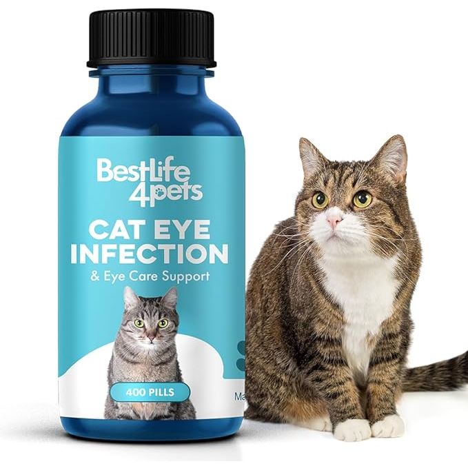 Eye care and vision support for cats is essential to their overall health and well-being. Cats are susceptible to a variety of eye problems, including infections, conjunctivitis, swelling, and discharge. Holistic kitten eye infection treatments offer a natural and effective solution to help alleviate these issues.