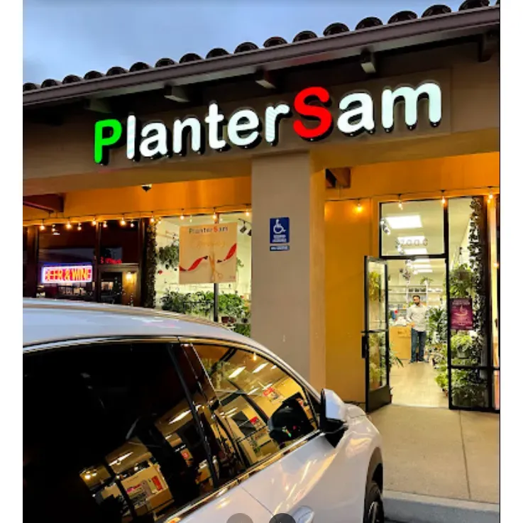 The inviting atmosphere is further enriched by the knowledgeable guidance provided by Sam, her husband, and the attentive staff. Whether it's tips on sunlight requirements, potting, or temperature control, the team at PlanterSam is equipped to share valuable insights, ensuring plant longevity and customer satisfaction.