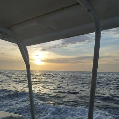 https://waivio.nyc3.digitaloceanspaces.com/1716585796_5652acb8-070d-485d-adda-6dfdd8067c4a