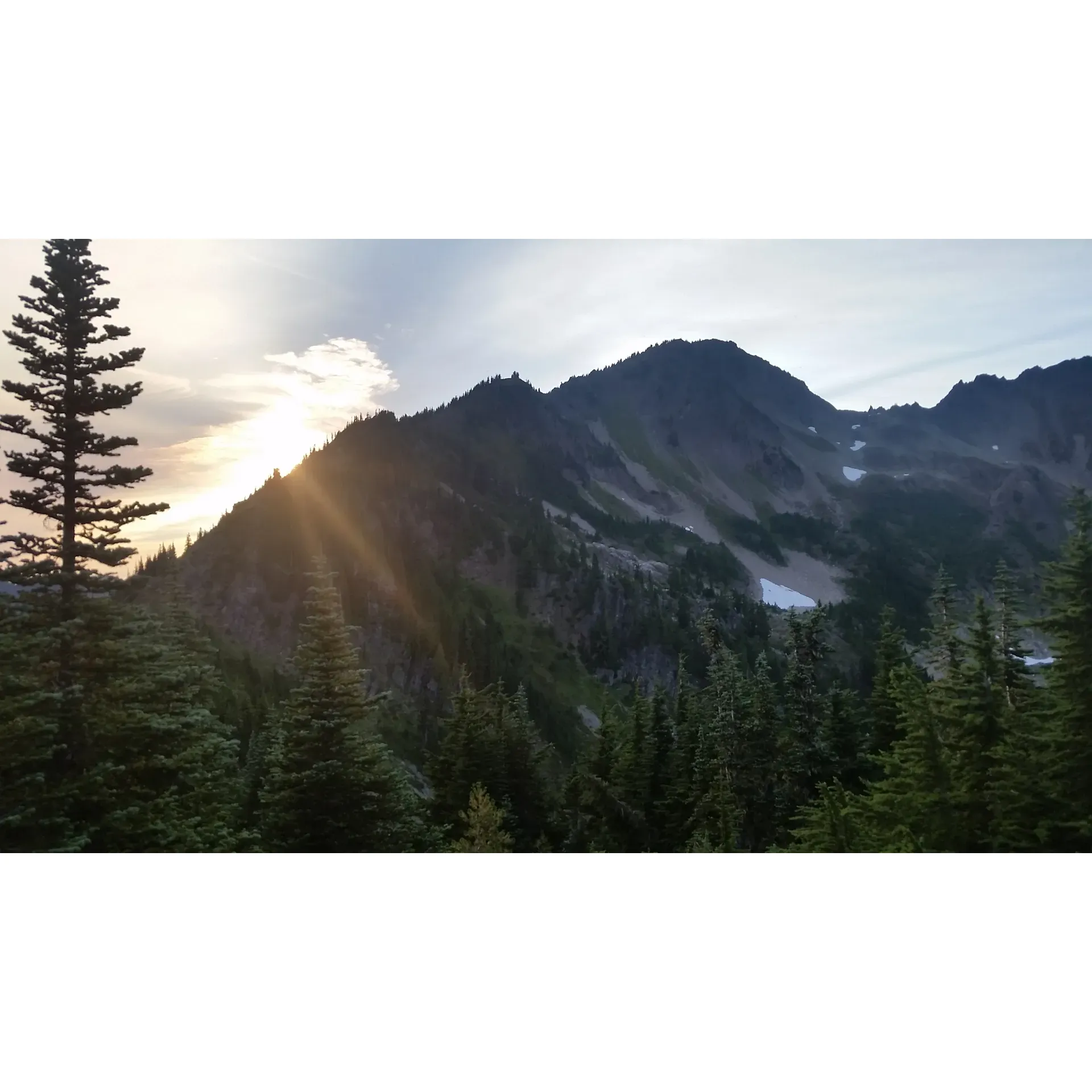 Appleton Pass is a popular hiking destination located in Olympic National Park near Port Angeles, Washington. The pass sits at an elevation of 4,300 feet and offers stunning panoramic views of the surrounding mountains and valleys. The trail to Appleton Pass is a challenging 13-mile round trip hike that climbs over 3,000 feet in elevation, making it a great option for experienced hikers looking for a more strenuous adventure.

The trail to Appleton Pass begins at the Graves Creek Trailhead and follows the North Fork of the Quinault River through old growth forests and alpine meadows. Along the way, hikers may encounter wildlife such as black bears, deer, and elk. The pass is also a popular camping spot for backpackers looking to spend the night in the backcountry. Due to its remote location and difficult terrain, it is important for hikers to be prepared with proper gear and supplies before embarking on the journey to Appleton Pass. Description by ChatGPT.