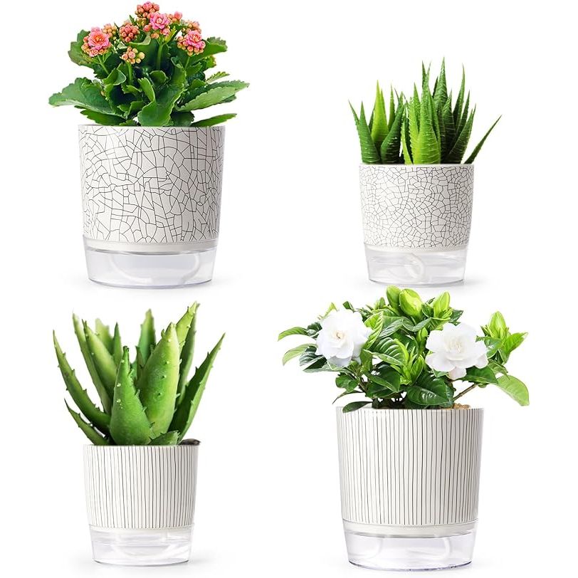 Self watering pots for indoor plants are designed to help make plant care easier by providing a consistent water supply to your plants. This eliminates the need for frequent watering, making it ideal for busy individuals or those who tend to forget to water their plants regularly.