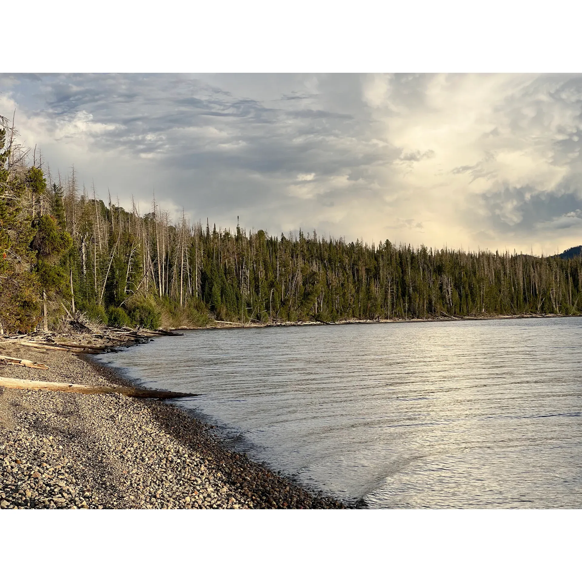 Brimstock Point offers a serene backcountry camping experience at 5E1, right on the shores of the magnificent Yellowstone Lake. With its prime location, campers can look forward to an immersive wilderness retreat where dining in the company of diverse wildlife becomes a highlight of their stay. The campsite affords visitors the unique opportunity to connect with nature and witness the beauty of Yellowstone's flora and fauna in an intimate and peaceful setting. Each day at Brimstock Point unfolds with the possibility of sharing your morning coffee with grazing deer or observing the quiet routines of the local animals - all while being cradled by the tranquil ambiance of one of America's most beloved natural landscapes. This is truly an unforgettable camping experience for nature enthusiasts and wildlife watchers alike, offering an inspiring escape from the hustle and bustle of everyday life. Description by ChatGPT.