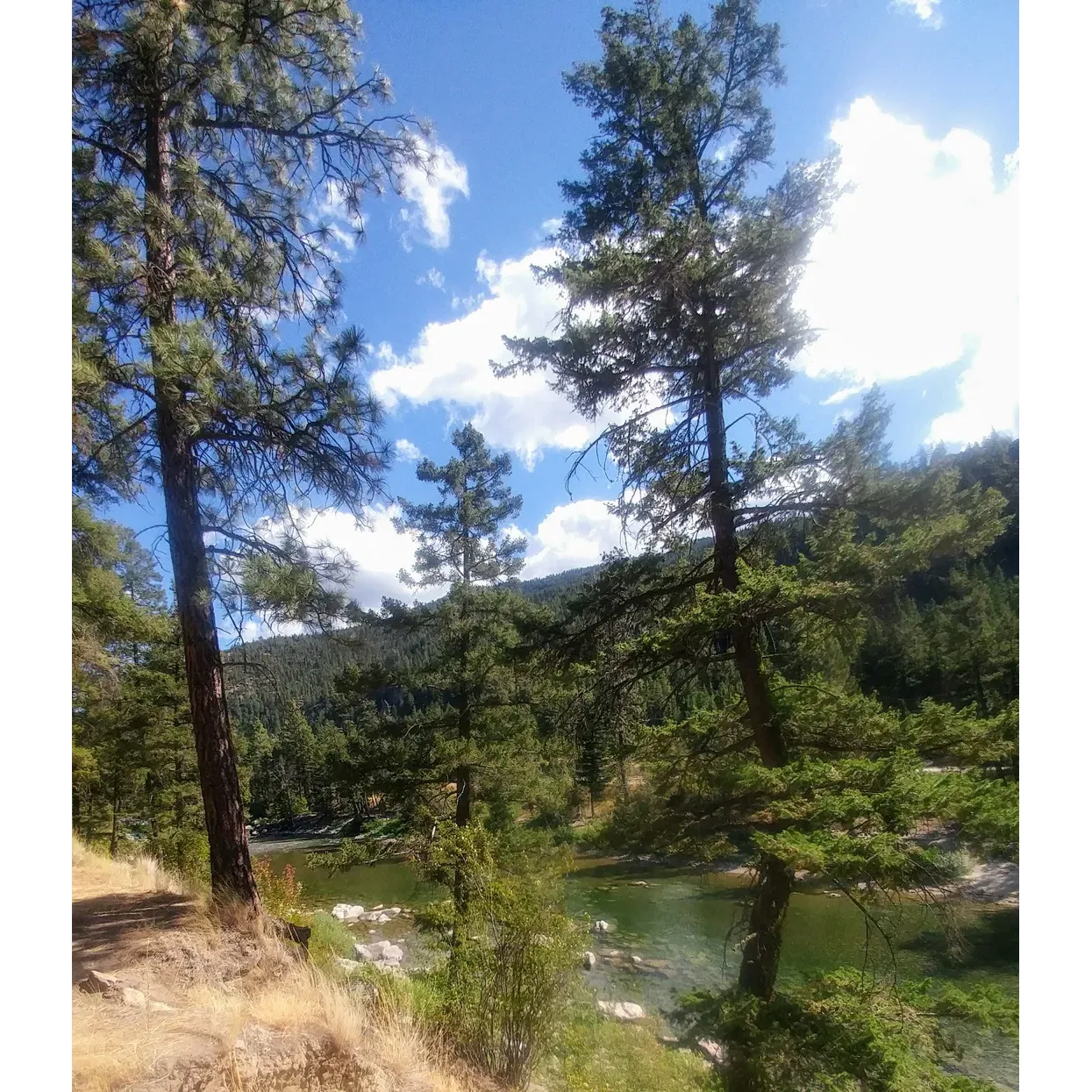 Old Hedley Road West Recreation Site offers a serene escape into the great outdoors for nature lovers and adventure seekers alike. This tranquil campground is a haven for those who delight in self-sufficient, rustic camping experiences. The site is heralded for its beautiful river vistas and valley views that can be enjoyed from almost every campsite, providing a picturesque backdrop for picnicking or simply relaxing by a fire pit. 

Lucky numbered site 13 is praise-worthy for its comparatively easy reach to the invigorating rapids, along with sufficient coverage provided by the surrounding trees for those seeking a more secluded spot. Bold adventurers will find the adjacent rapids a thrilling challenge, with a friendly whirlpool by the campground's edge for casual enjoyment and opportunities for the fearless to embark on a heart-pumping tube ride downstream.

Fishing enthusiasts can revel in the joy of catch-and-release fishing, celebrating memorable mornings reeling in lively rainbow trout amidst the ever-present, aromatic pine. The pristine environment makes it ideal for an impromptu escape, with campers regularly finding the perfect site without difficulty. 

Additional amenities include the basics of a gentle dirt pad for pitching tents, a cozy picnic table per site, and a fire pit to gather around under the stars (with careful attention to local wildfire dangers). The in-house facilities are simple, maintaining a clean and functional long-drop toilet.

Administratively, the Recreation Site offers affordable rates, and its mild traffic during the week ensures a peaceful stay, especially as the day transitions to a calming night.

Enhance your getaway experience by taking a short journey to the nearby Bromley Rock for an extra dose of nature's splendor. Old Hedley Road West Recreation Site is an idyllic spot for campers who appreciate the pure essence of camping and the great outdoors. Description by ChatGPT.