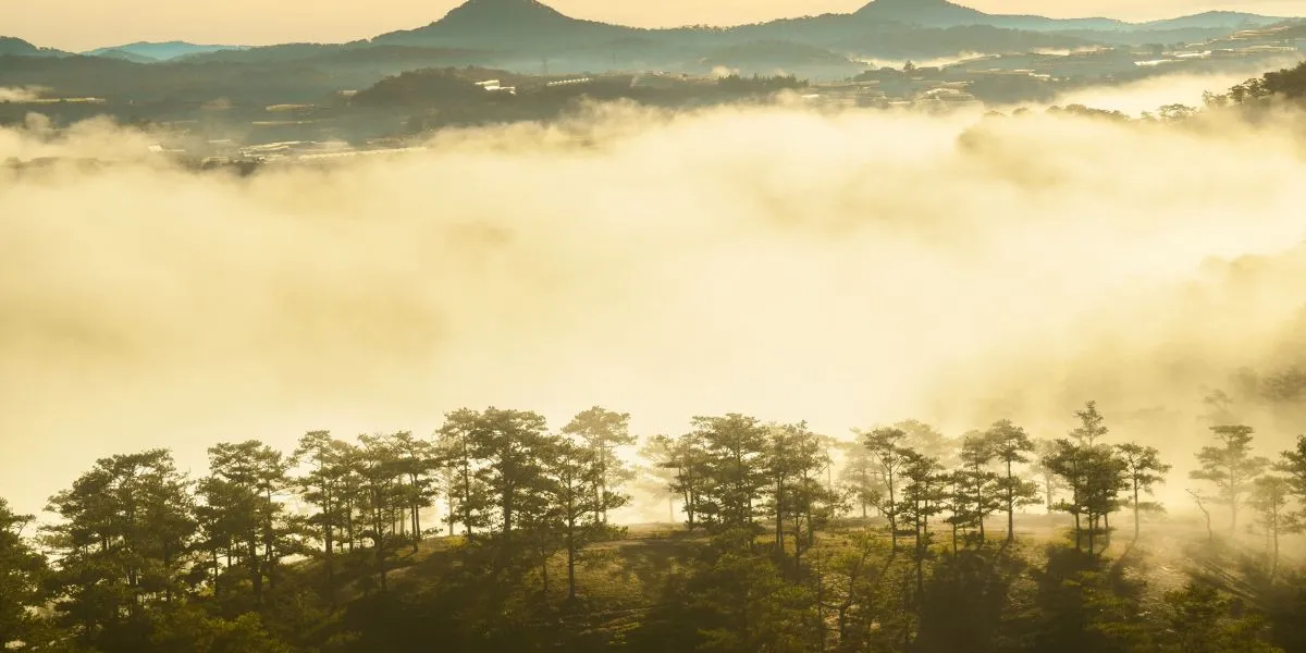 dalat-luxury-travel-difference.png