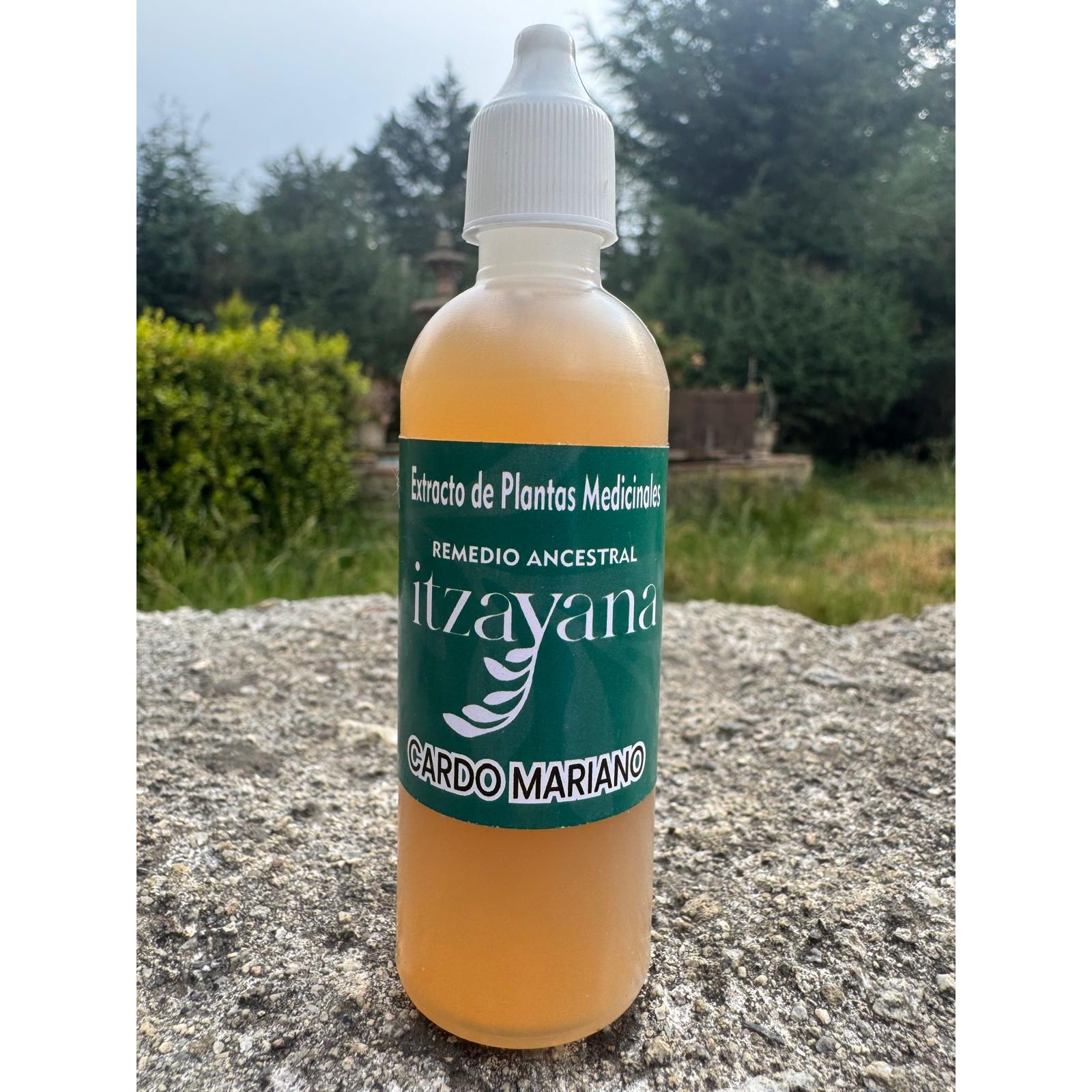 ITZAYANA-MILK THISTLE TINCTURE image