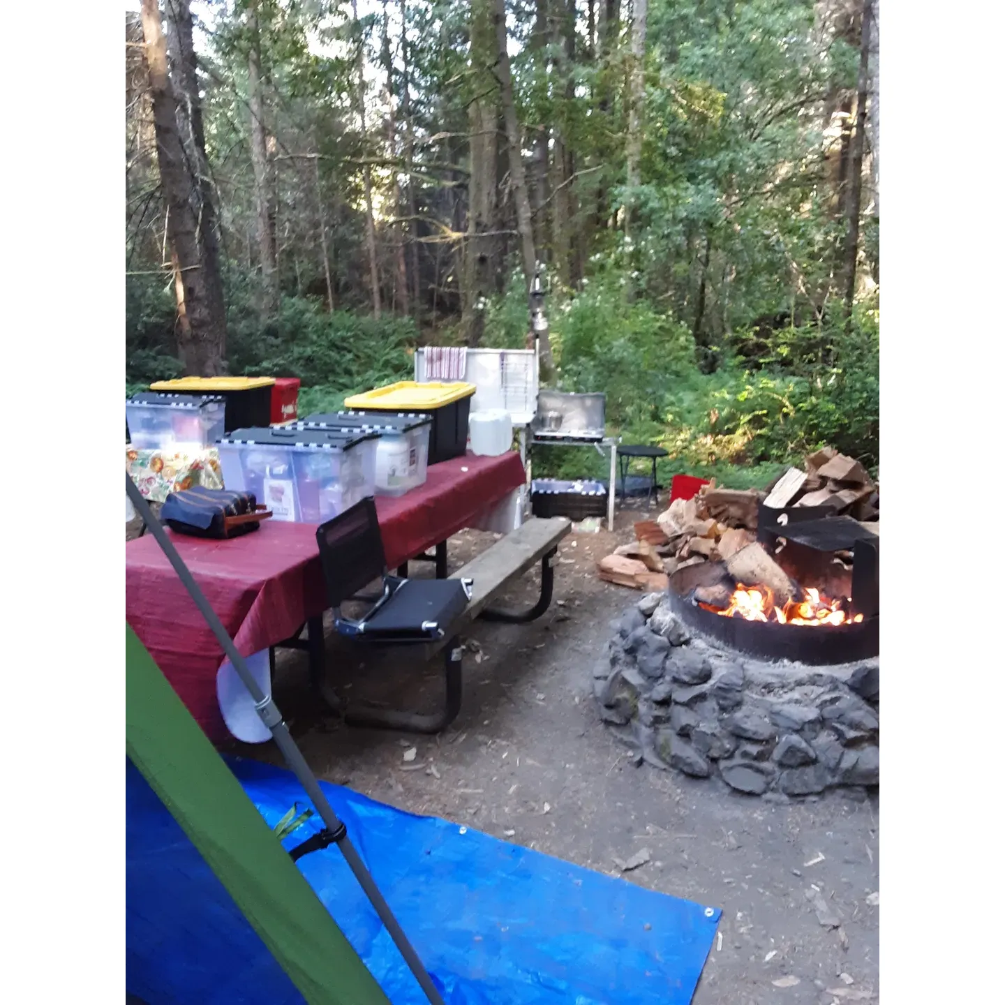 Wailaki Campground offers a tranquil and picturesque retreat for outdoor enthusiasts seeking an affordable and serene nature escape. Surrounded by majestic trees and conveniently situated close to an array of hiking trails with varying levels of difficulty, including steep elevation changes for the more daring adventurers, the campground provides an ideal base for exploring the great outdoors.

Visitors are treated to a rustic camping experience with essential amenities such as fire pits for cozy gatherings under the stars, picnic tables for outdoor dining, and a reliable vault toilet. At the budget-friendly price of just $8 per night, with a generous 14-day limit per year, it's an unbeatable value for those looking to disconnect from the bustling city life and immerish themselves in the calm of the wilderness.

Despite the absence of an on-site water supply, the proximity of a creek offers an element of convenience and an authentic camping experience, encouraging guests to engage with their surroundings in a traditional way. Although access to the campsite involves navigating through some challenging, curvy roads, the journey adds to the sense of adventure and seclusion that makes Wailaki Campground a unique destination.

The campsite's uncrowded atmosphere ensures a quiet stay, where one can find solace and enjoy the untouched beauty of the landscape. It's a perfect spot for nature lovers to set up their tents and indulge in the quietude of the area, where simplicity and natural charm are at the forefront of the camping experience.

With many satisfied guests planning to return, Wailaki Campground stands out as a well-loved haven for those looking to explore the great outdoors, connect with nature, and create lasting memories without breaking the bank. Description by ChatGPT.