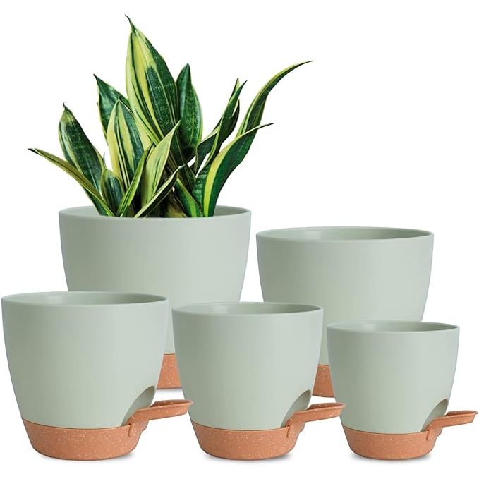 The Plant Pots Indoor 7/6.5/6/5.5/5 Inch Self Watering Planters are a set of plastic flower pots designed for indoor plants. These pots come in various sizes ranging from 5 to 7 inches, making them suitable for a variety of plant sizes. The pots feature a self-watering design, allowing for optimal water absorption and distribution to your plants.