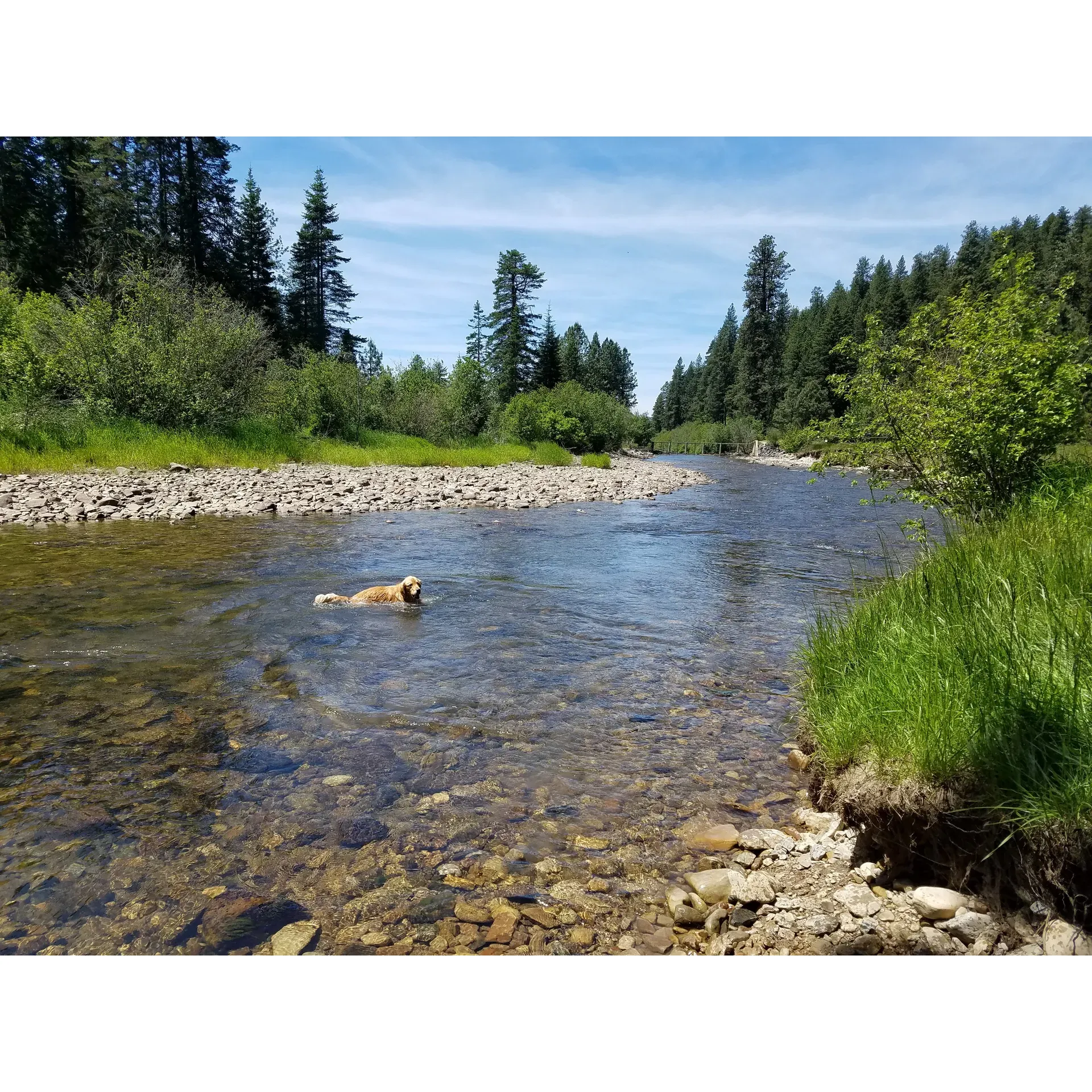 Laird Park Campground offers an exceptional outdoor experience for families and adventure-seekers alike. A haven for nature lovers, the campground boasts spacious and well-kept sites perfect for family gatherings, with easy access to pristine water that will provide a refreshing escape during those hot summer days. Children will delight in the safe, family-friendly environment, making it an ideal spot for creating lasting memories.

Visitors will appreciate the tranquility of the park, where the only companions might be the local wildlife, from placid deer wandering through to cows adding a unique and amusing twist to the countryside charm. Even during the quiet winter months, the landscape offers serene beauty, ideal for reflective walks with your canine companion.

Safety is a top priority at Laird Park Campground, with secure gated access in the evenings to ensure peace of mind for guests. Additionally, visitors can take advantage of the well-maintained amenities, including spotlessly clean restrooms for a comfortable stay.

Those looking to extend their camping adventures can do so at the nearby Moose Creek Reservoir, perfect for those interested in fishing or seeking a different scene within a short distance of Laird Park.

Moreover, the campground's pricing boasts great value, especially for group tent sites, which are perfect for larger gatherings. With no worries about pesky mosquitoes, even in the heart of summer, campers can truly relax and enjoy the great outdoors.

In summary, Laird Park Campground presents a delightful setting, combining the joy of wilderness, comfort of clean facilities, and the reassurance of attentive safety measures, all enveloped in a picturesque landscape that beckons families and friends to indulge in the great outdoors. Description by ChatGPT.