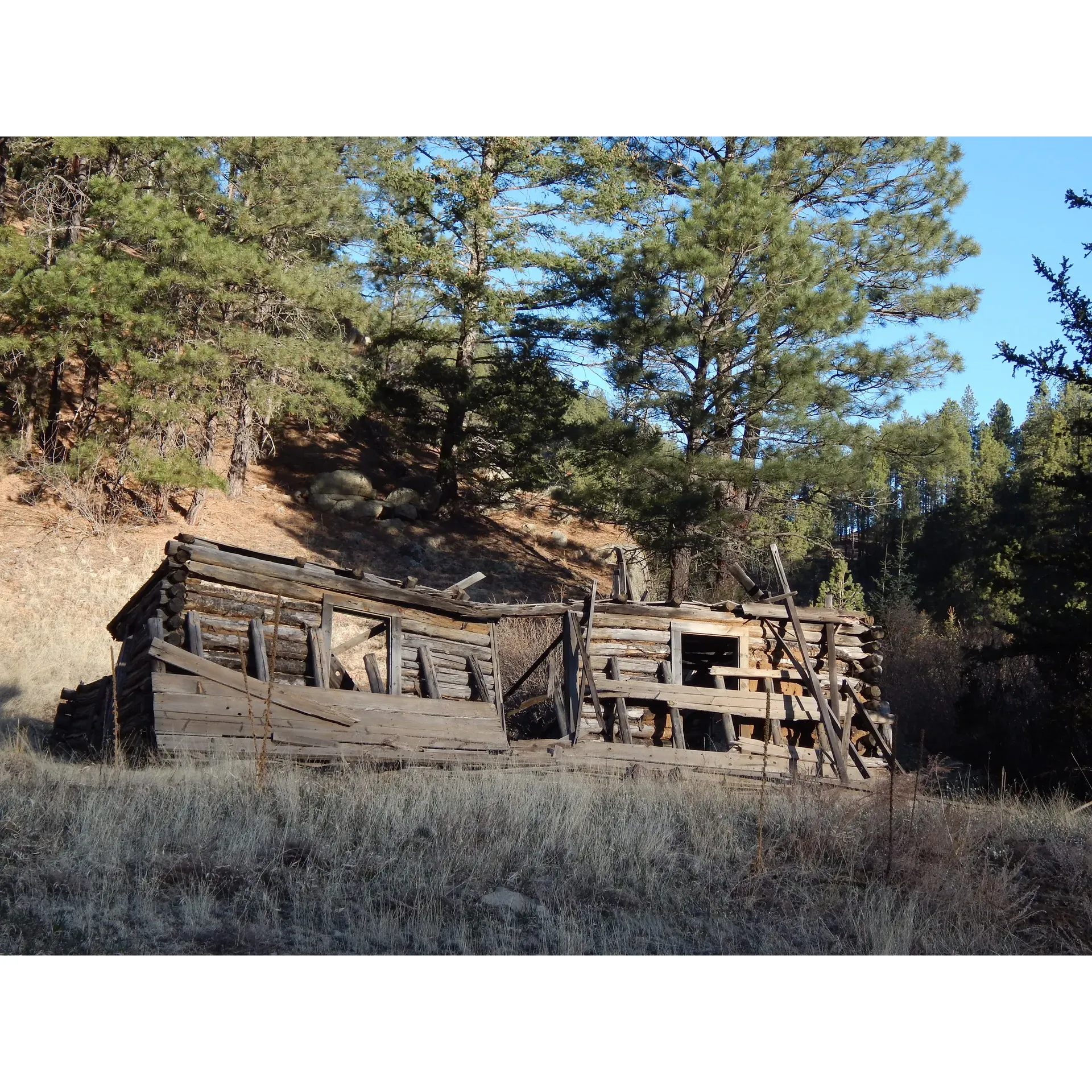 Santa Fe National Forest Field Tract Campground is a beloved outdoor haven that captivates visitors with its proximity to the serene Pecos River and its stunning celestial display. For over 15 years, campers have returned to this tranquil destination, drawn by the secure environment enhanced by the controlled gate access that ensures peace of mind. A convenient nearby store caters to essential needs, allowing campers to focus on the natural experience of traditional camping.

Situated within a scenic expanse, the campground offers spacious grassy areas ideal for tent pitching and recreation. Each site is equipped with a table and an array of either open or sheltered spots that come complete with fireplaces, perfect for cozy gatherings. The thoughtful design and required reservations maintain an orderly and enjoyable atmosphere. Campers often remark on the cordial interactions with both fellow nature enthusiasts and the diligent camp attendant, who brings an added layer of hospitality to the experience.

The campground's layout thoughtfully accommodates various camping preferences, with different site sizes and configurations ensuring that groups can find the perfect space for their outdoor activities—whether that's setting up a kitchen area, accommodating parking, or providing ample room for tents. The responsive, approachable camp host is committed to making stays as seamless as possible, even for guests arriving later in the evening.

Attention to cleanliness is evident, with porta-potties and bathroom facilities regularly maintained, keeping in line with the campground's standards. Practical amenities such as multiple water hydrants across the site underline the campground's approach to convenience.

Surrounded by lush forestry, the sites offer privacy while fostering a sense of community, highlighted by considerate quiet hours that allow everyone to appreciate the peace of the great outdoors. While disconnected from the hustle and bustle, with no cell service to distract from the immersion in nature, campers can enjoy fishing in the nearby river, or simply relax to the harmonious sounds of the environment.

Santa Fe National Forest Field Tract Campground is a sought-after destination, a testament to its popularity and the enchanting experience it offers. While capturing the essence of camping, it delivers a well-maintained and efficiently organized outdoor retreat that leaves visitors yearning to return and fully resonating with the sentiment that photographs can hardly do justice to its natural beauty. Description by ChatGPT.