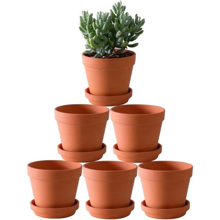 This 6-pack of large Terra Cotta pots with saucers is perfect for planting a variety of plants, such as cacti, flowers, and succulents. Each pot measures 5.5 inches in diameter and is made from high-quality ceramic pottery, making them durable and long-lasting.