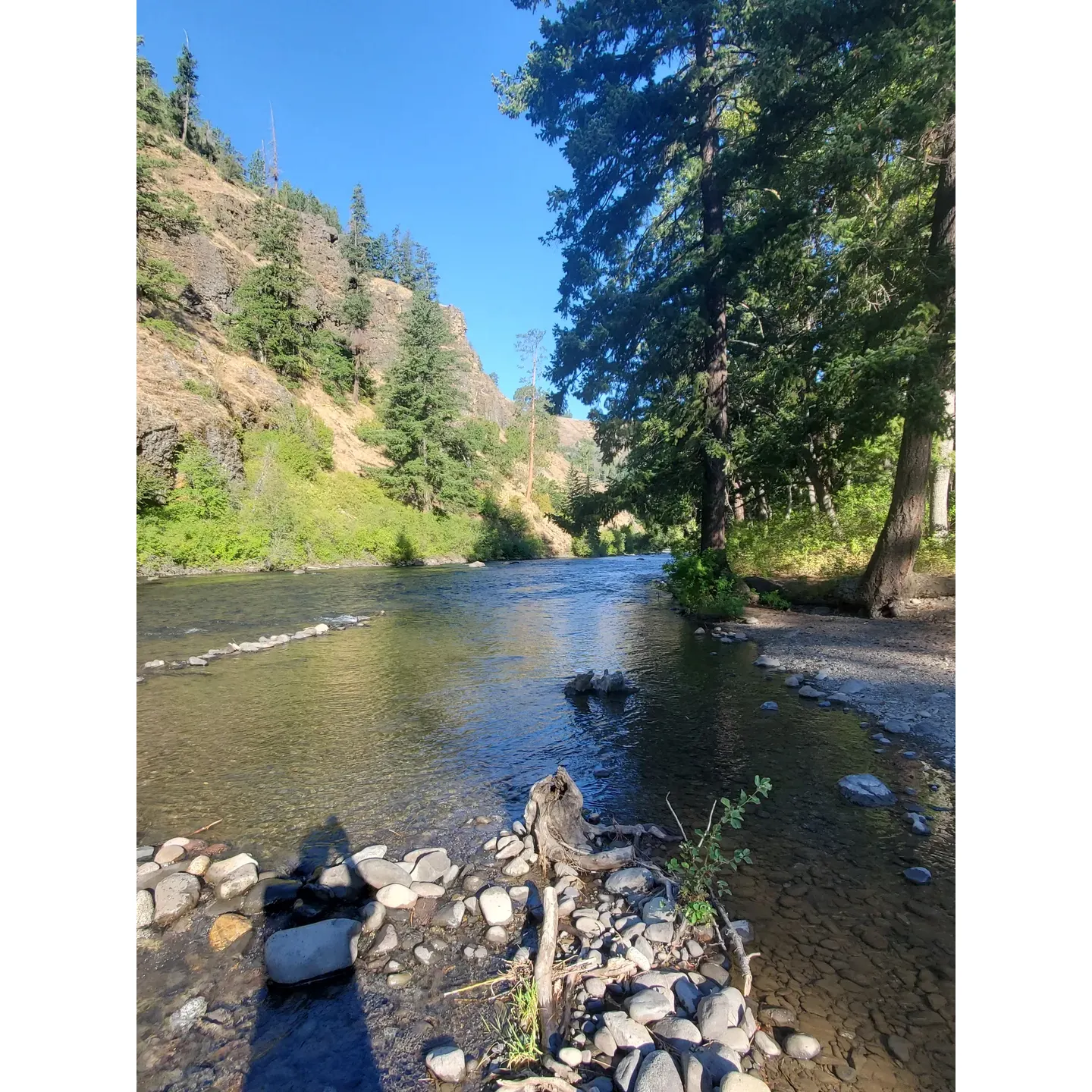 Windy Point Campground offers an idyllic outdoor escape for families, nature enthusiasts, and adventure seekers. This picturesque riverside retreat is known for its tranquil and scenic landscape, providing a perfect backdrop for creating lasting memories with loved ones. With the Tieton River flowing gracefully alongside, visitors can enjoy water-based activities like kayaking, rafting, and tubing during the summer months. Those with a penchant for photography will appreciate the opportunity to capture the breathtaking geology and rock formations found just across Highway 12.

The campground features a number of trails for both the casual walker and the avid hiker looking to explore the natural beauty of the surrounding area. Equipped with convenient parking spaces and basic amenities such as clean restrooms, fire rings, and tables, visitors can comfortably settle in for an enjoyable stay. For those in search of potable water, the campground provides a centrally located tap to ensure easy access.

Stargazers will find themselves enthralled by the spectacular views of the night sky, with even more stunning vistas awaiting atop the nearby ridge (accessible with a Forest Service Pass/Discovery Pass). The camp hosts at Windy Point are revered for their friendliness and extensive knowledge, always ready to assist and enhance guests' experiences.

Windy Point Campground's well-maintained sites along the river are highly sought after, and reservations are recommended for those wishing to secure a spot close to the water’s edge. Despite its modest size, the campground maintains a cozy and harmonious atmosphere, with the name truly living up to itself when the breeze sweeps through, reminding visitors to secure their tents for a peaceful rest. Whether you’re seeking tranquil relaxation or outdoor adventure, this beloved campground invites all to savor the natural charm and warm hospitality that keeps visitors returning year after year. Description by ChatGPT.